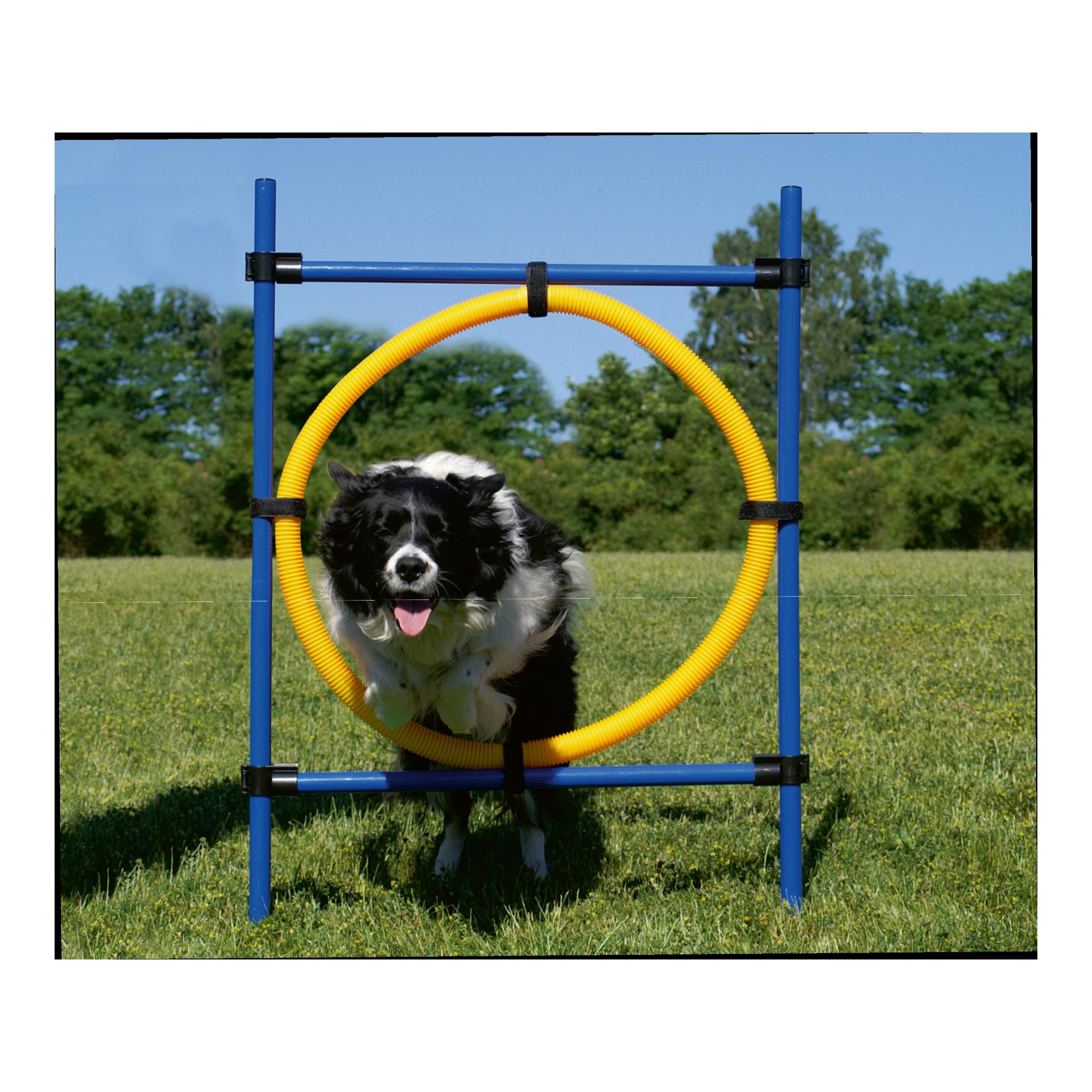 Josty Agility Hindernis-Ring für Hunde