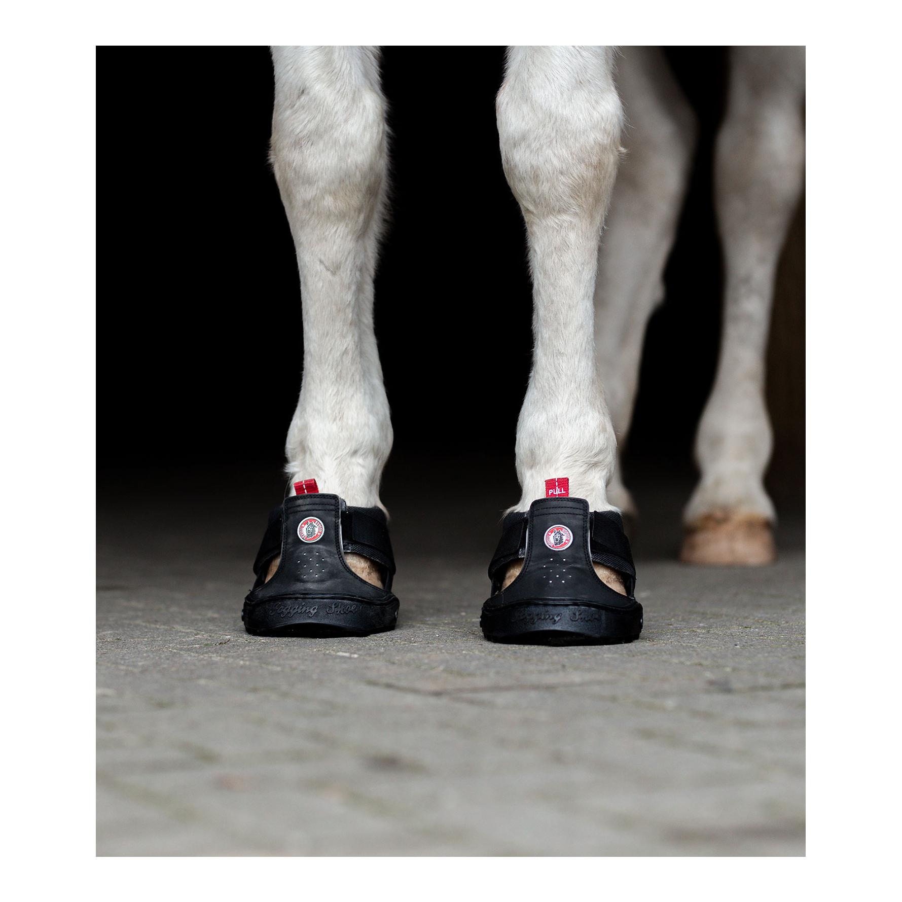 Equine Fusion Equine Fusion Trekking Shoe Regular