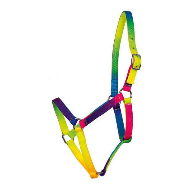 Waldhausen Halfter Regenbogen