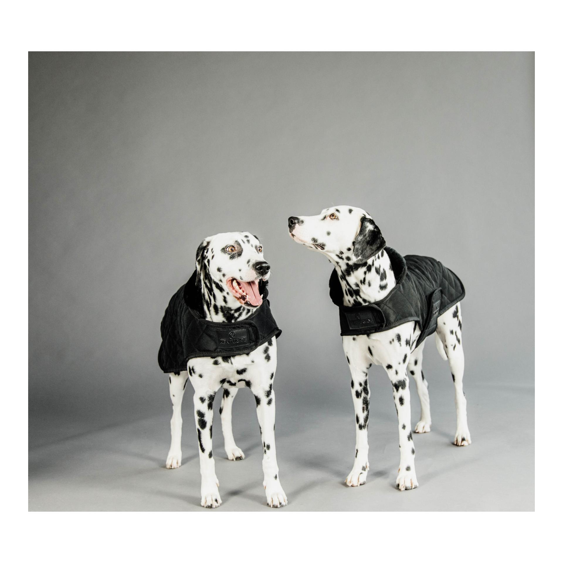 Kentucky Dogwear Manteau pour chien Original - black/black