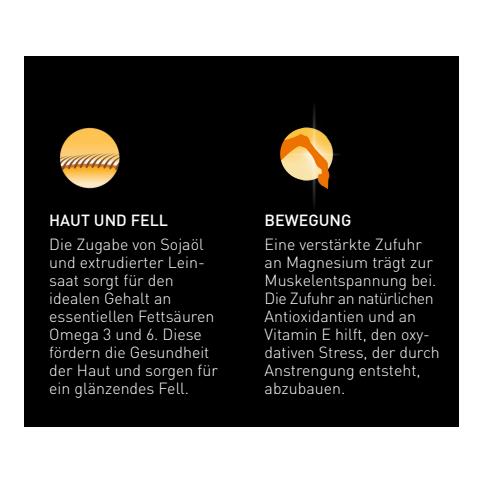 granovit Horse Senior - Senior Pferdefutter in Würfeln mit Flocken