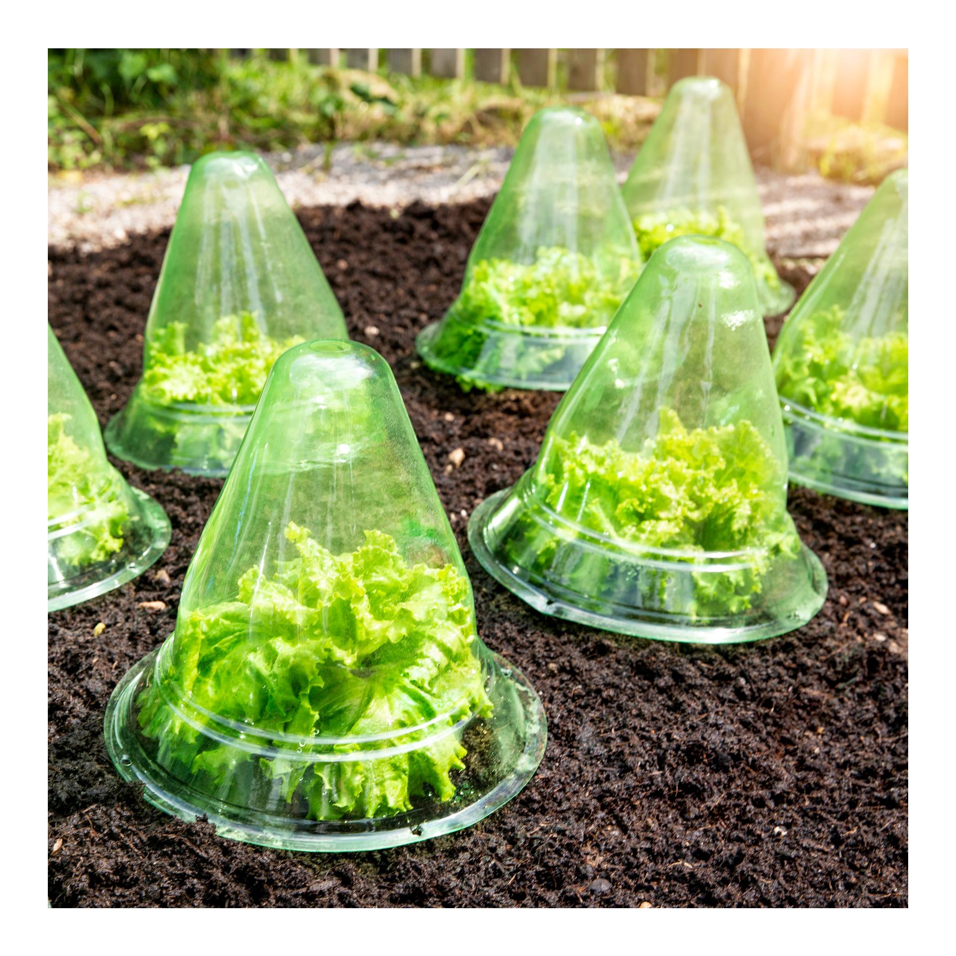 Windhager Cloche pour plants