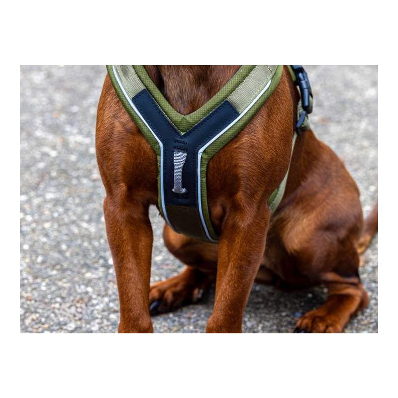 Kerbl Pet Harnais pour chien Dallas