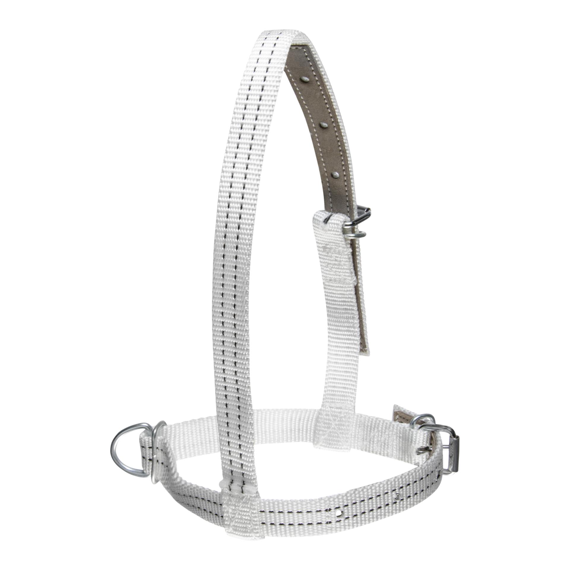 Meekes Rinderhalfter aus Nylon