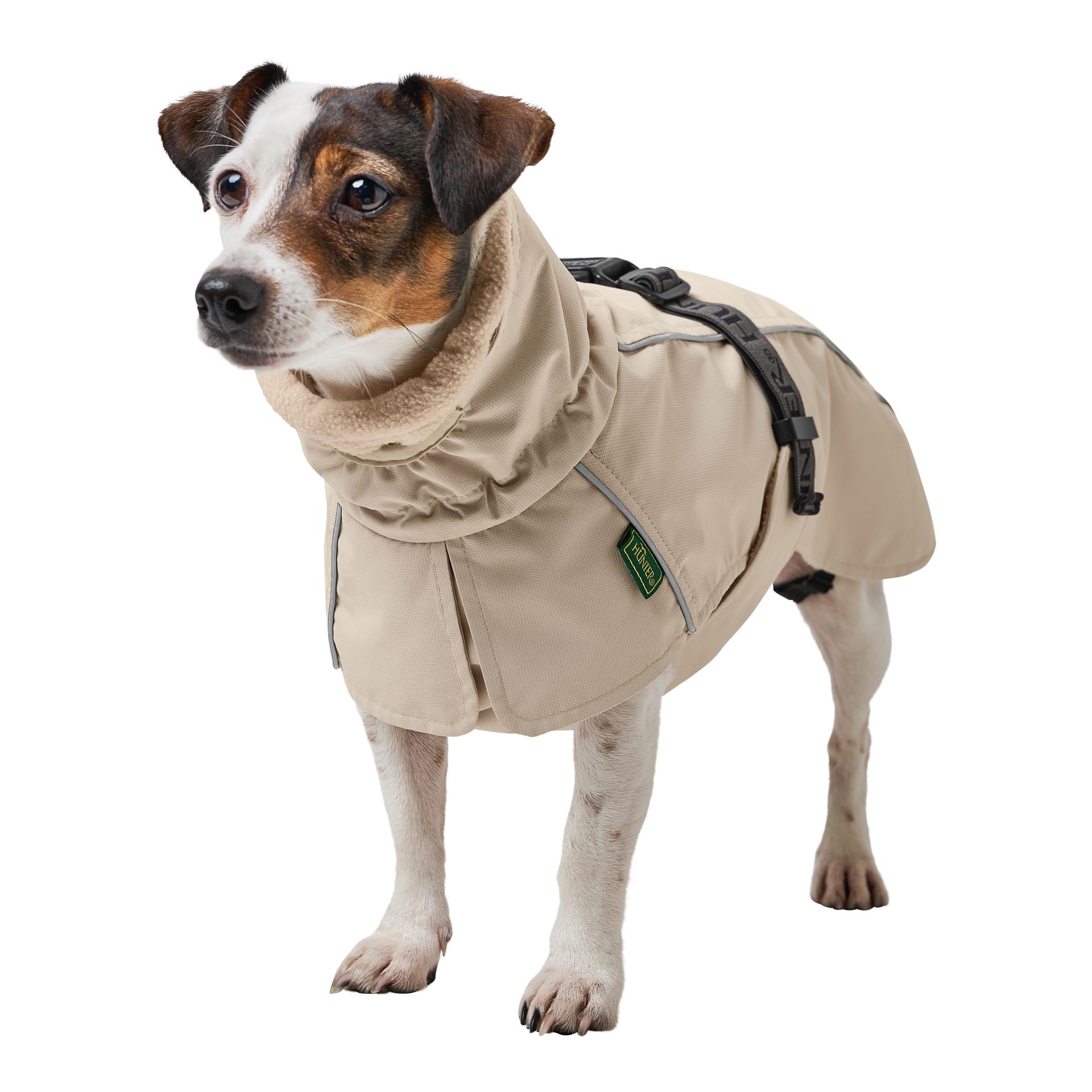 Hunter Manteau pour chien Nordby