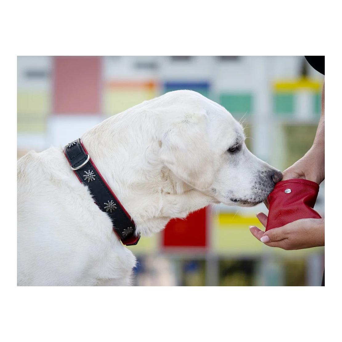Maul Lederwaren Hundehalsband Edelweiss - schwarz-rot/silber