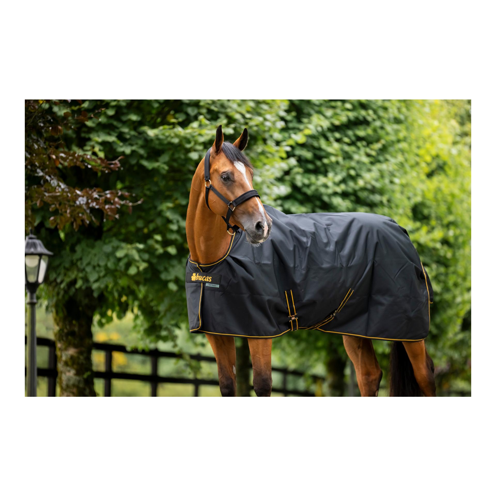 Bucas Irish Turnout Ligth Classic 50g Isolation - schwarz/gold