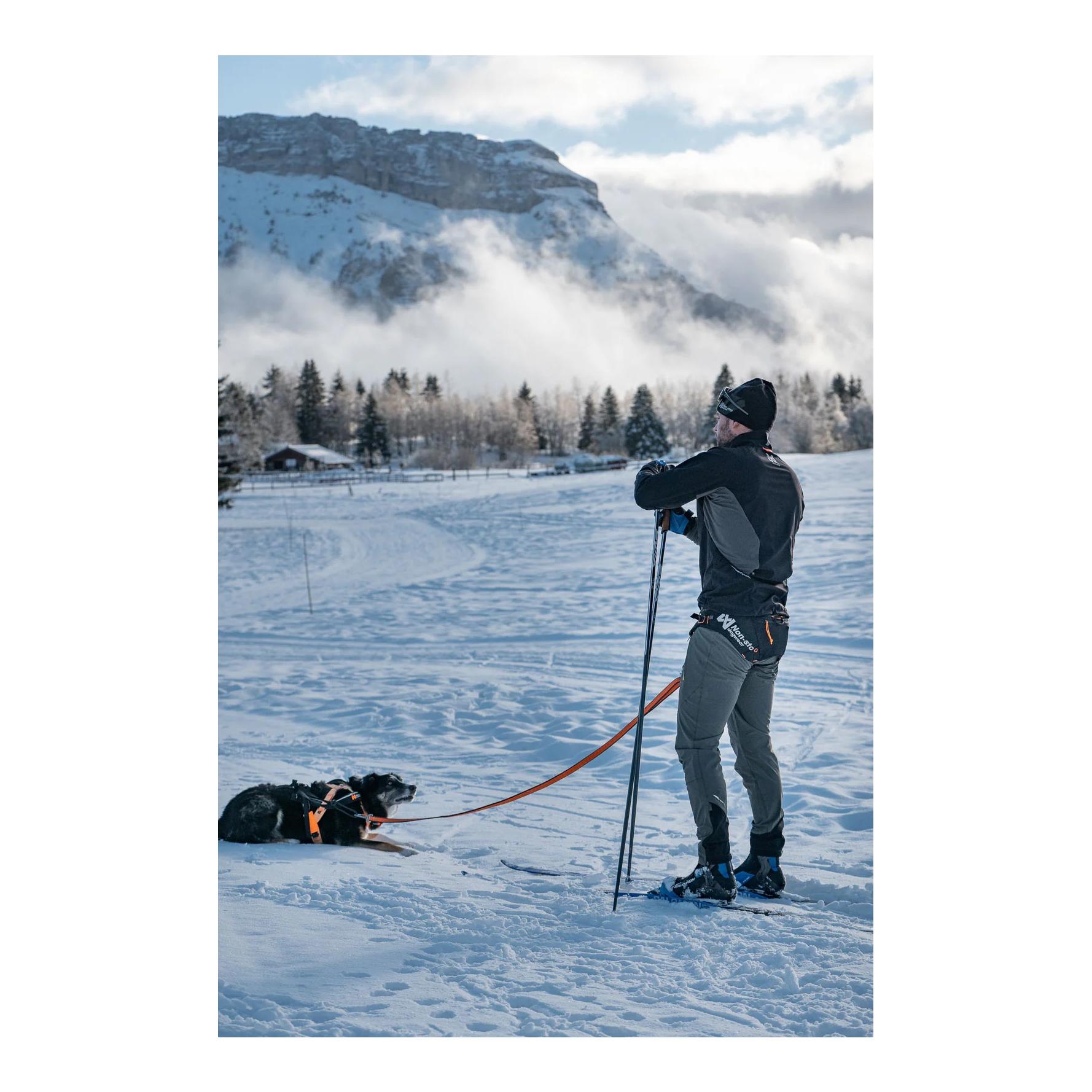 Non-stop Dogwear Løype Belt Pro - Ceinture ergonomique pour chien pour le skijöring