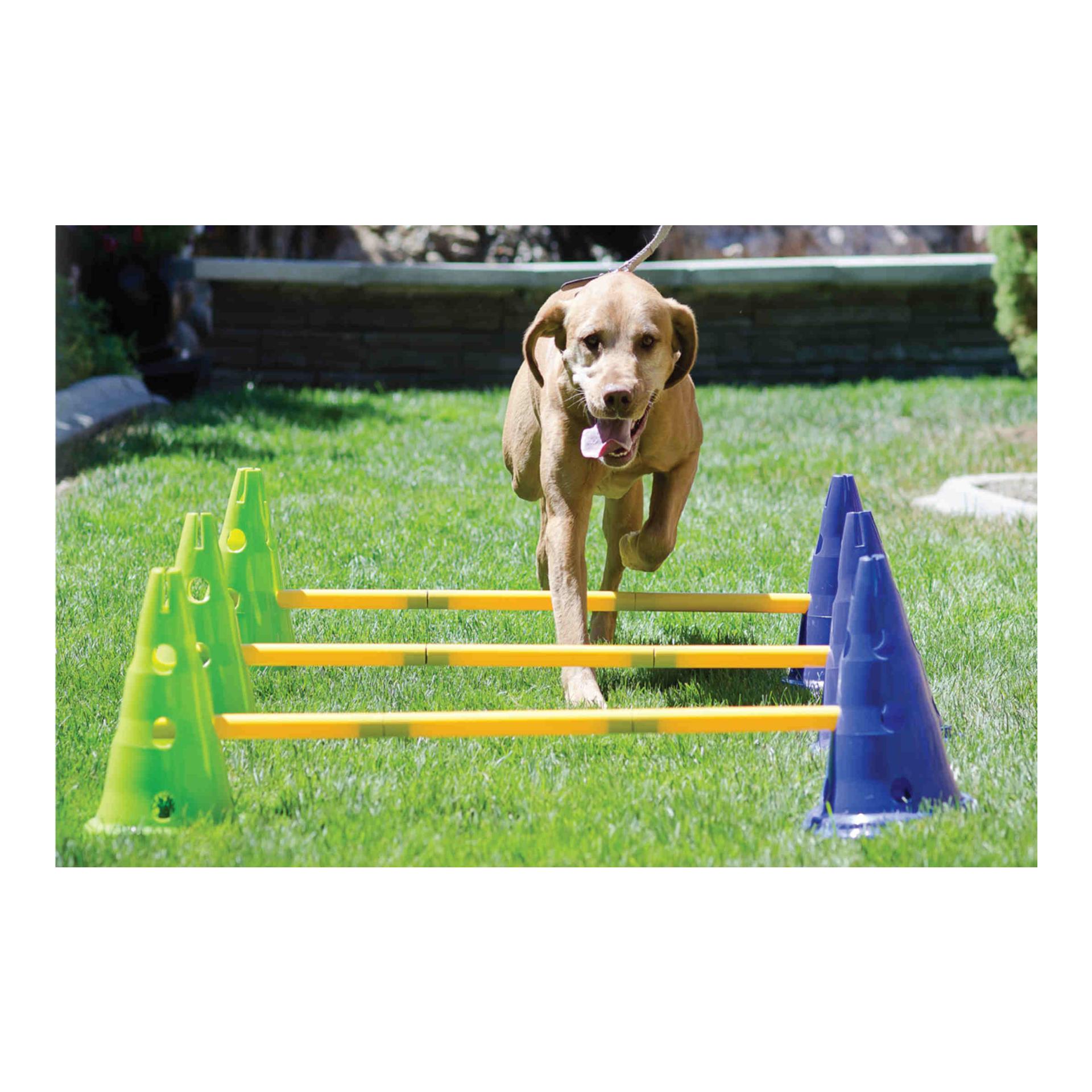 FitPaws Kit d'agilité