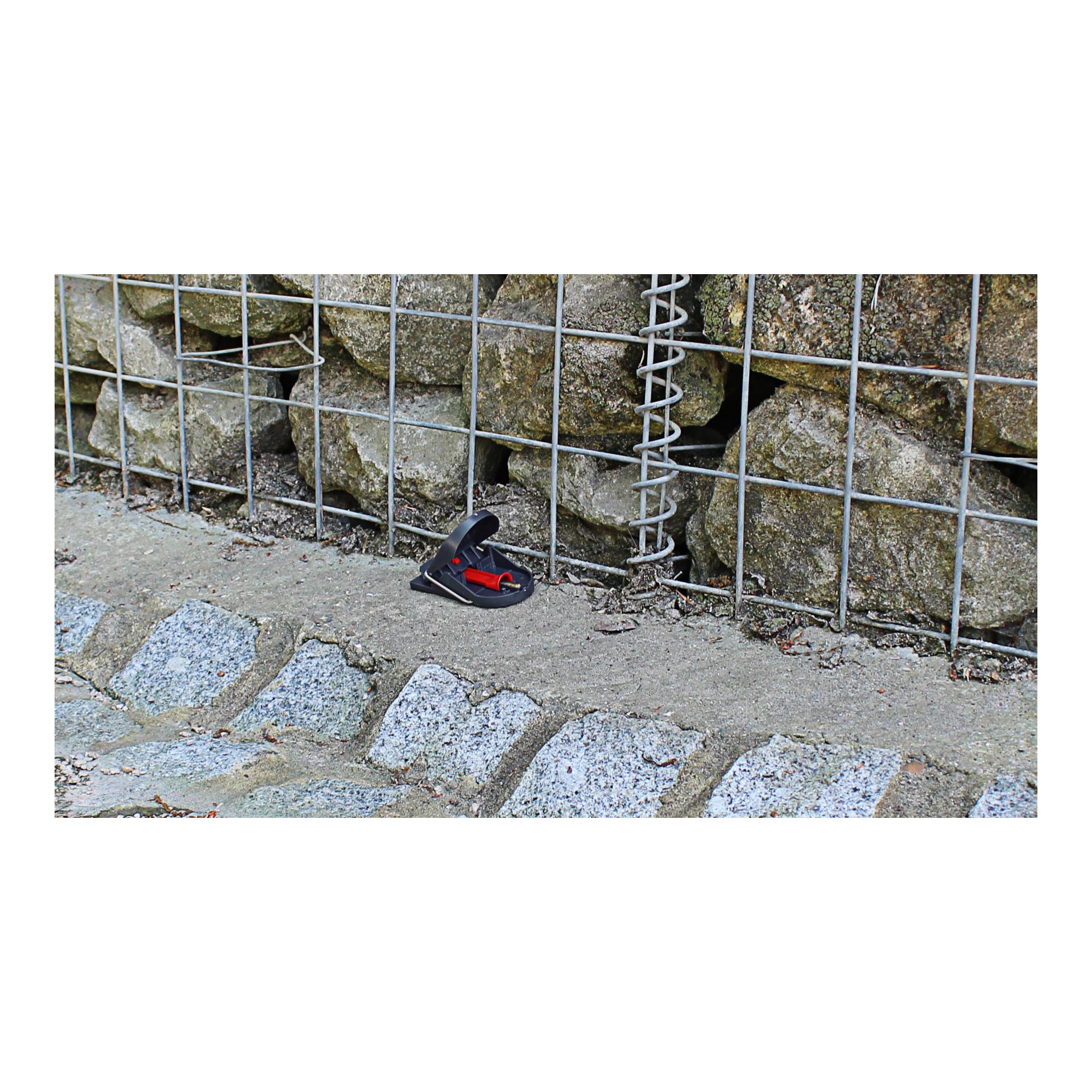 SWISSINNO Piège à souris PRO Supercat, appât inclus