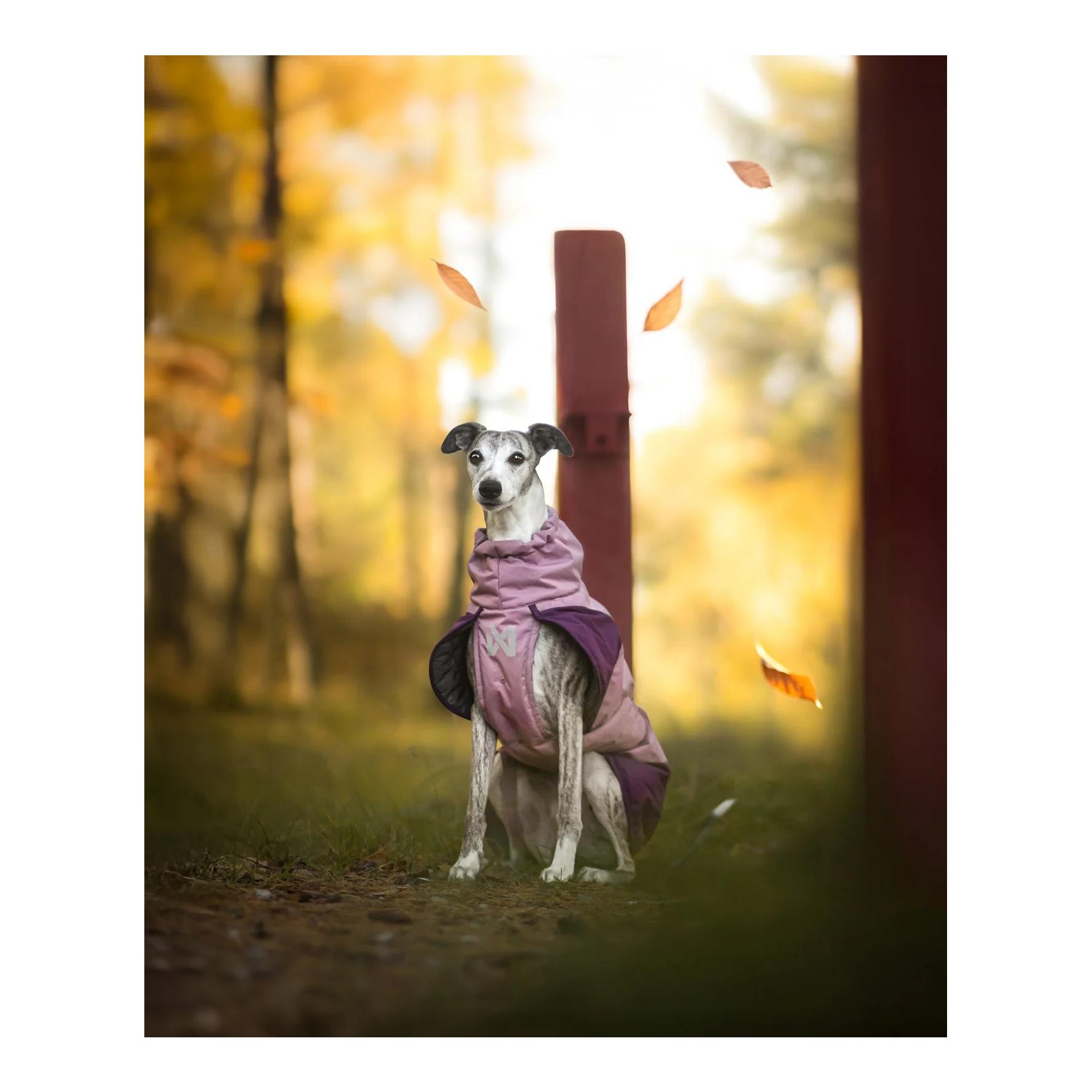 Non-stop Dogwear Veste d'hiver pour chien Glacier jacket 3.0