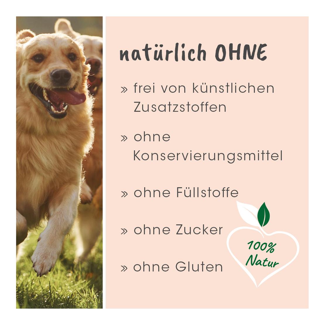 cdVet Singulares Bio-Ägyptisches Schwarzkümmelöl
