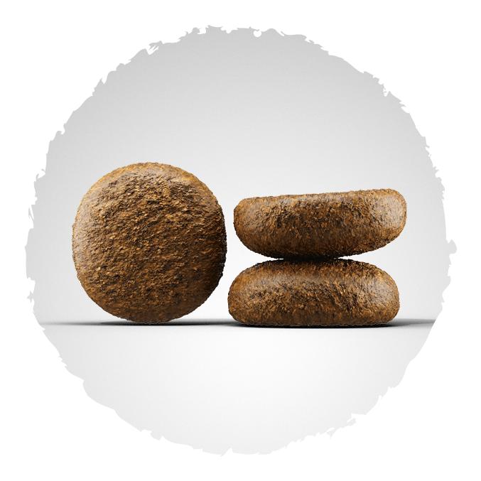 Josera Aliments secs SeniorPlus