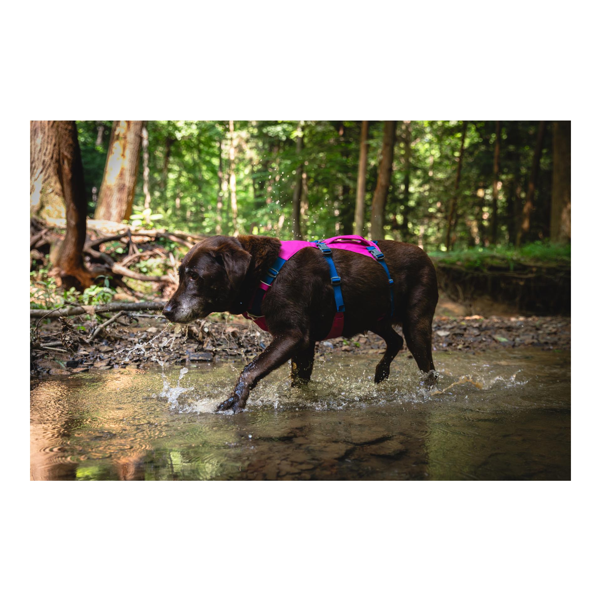 Ruffwear Harnais Flagline™