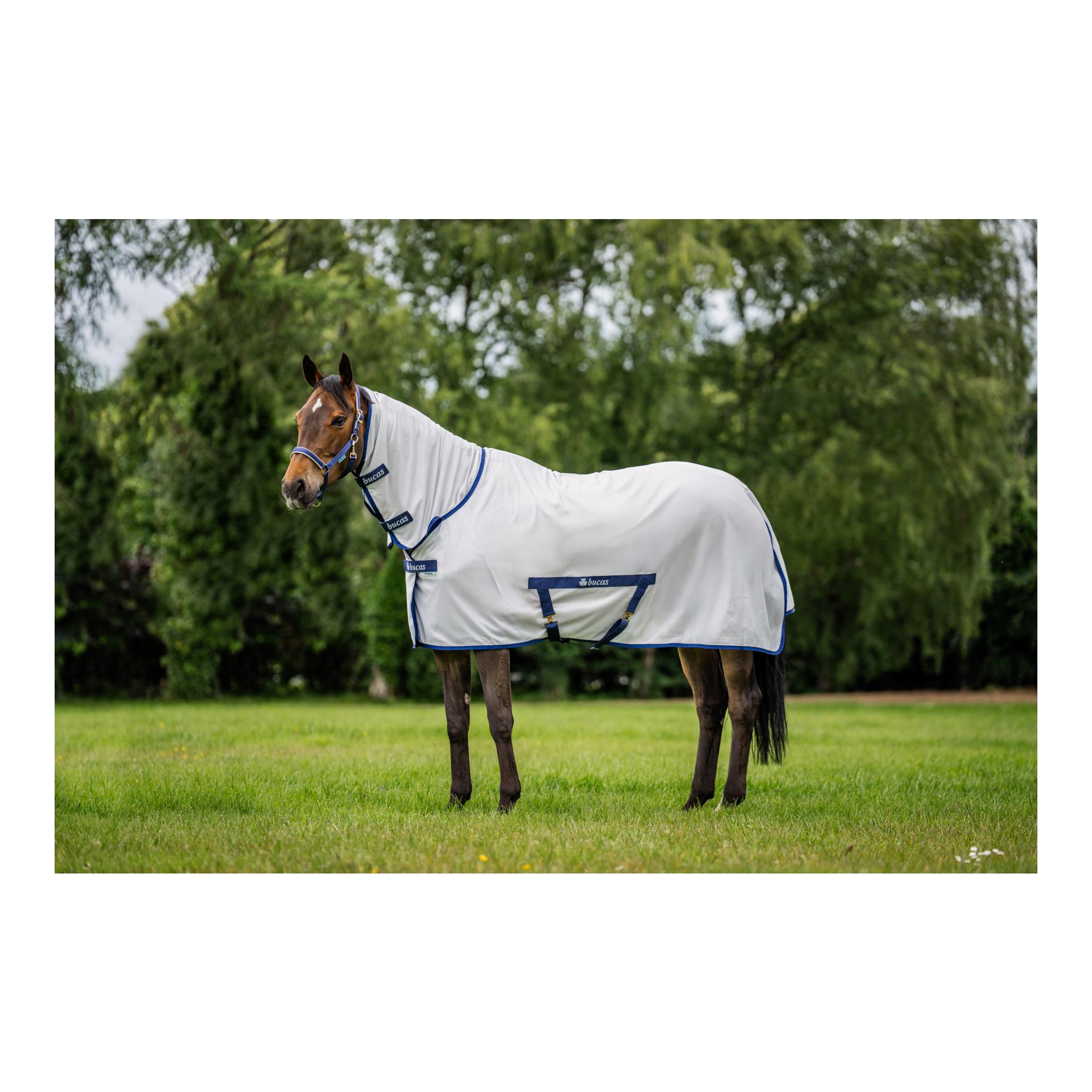 Bucas Fliegendecke Freedom mit Halsteil - silver