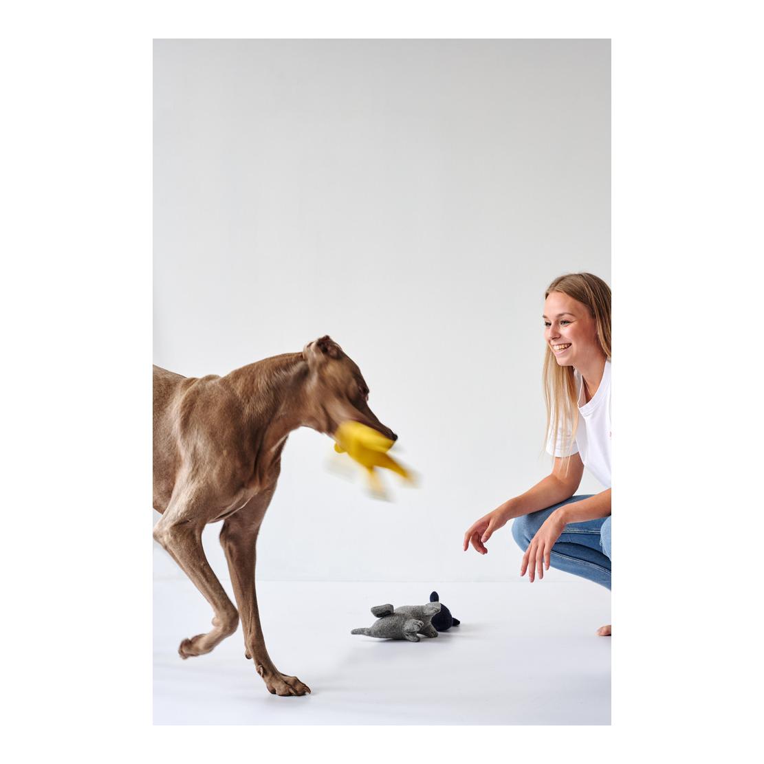 Hunter Hundespielzeug Eiby Wal - blau