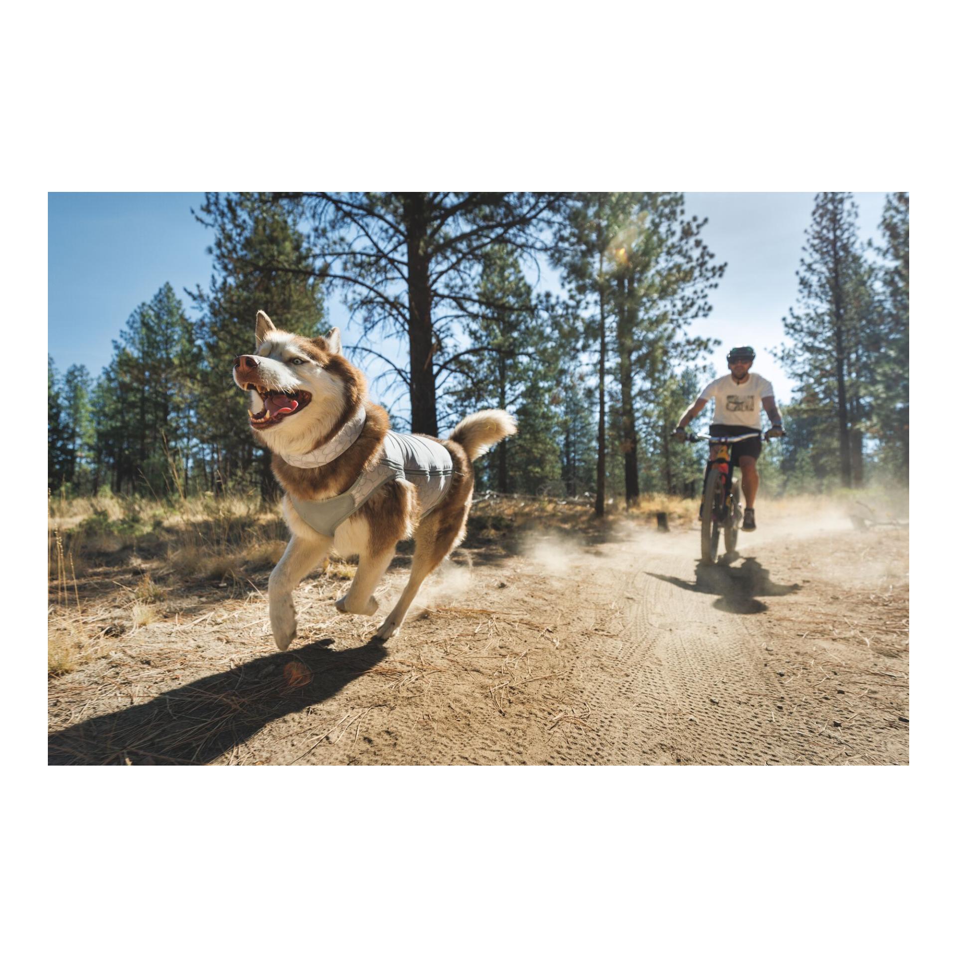 Ruffwear Swamp Cooler™ gilet rafraîchissant pour chiens