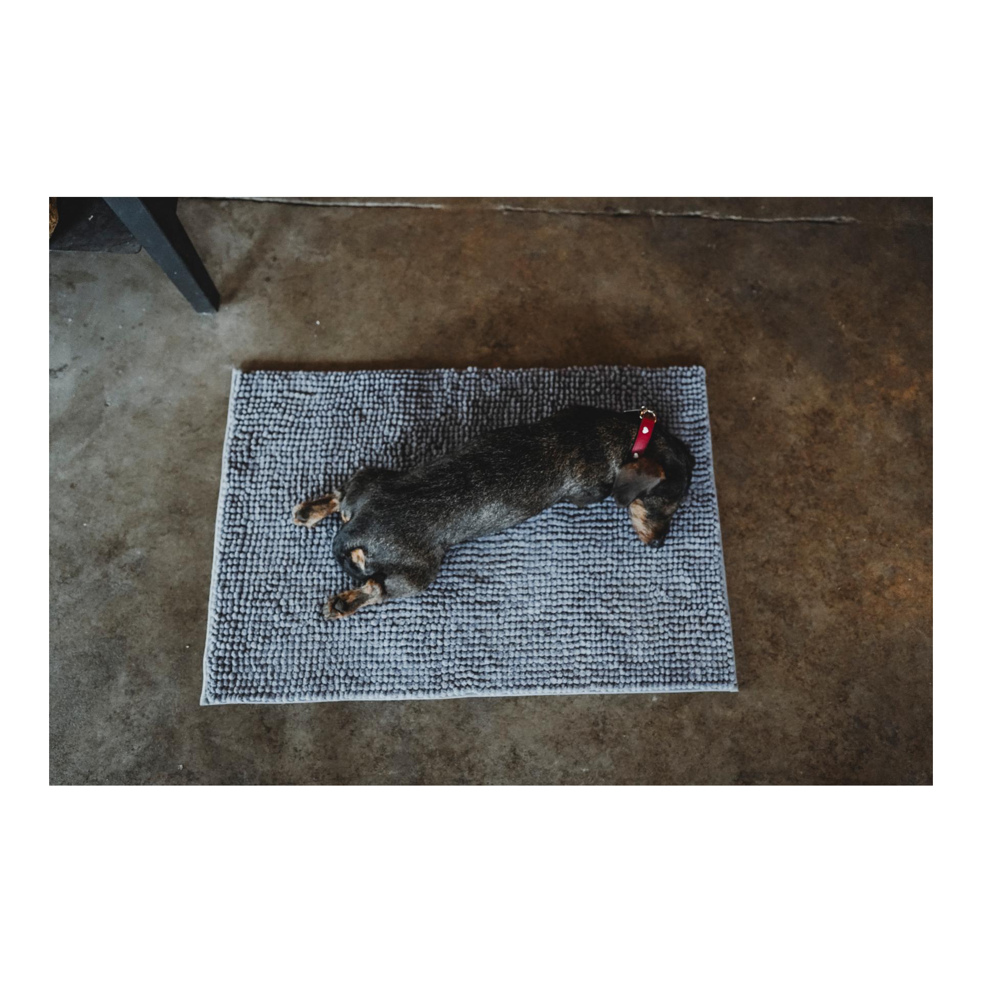 Hunter Tapis anti-salissures pour chiens Waterloo
