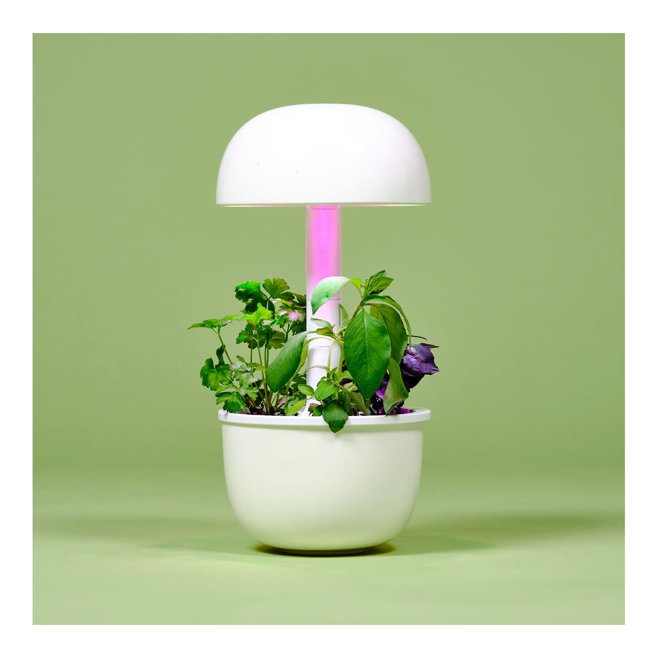 Plantui Smart Garden 3e Weiss
