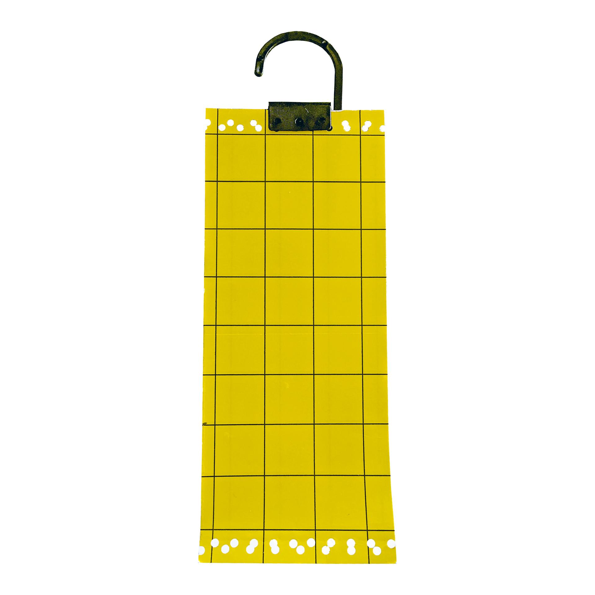 SWISSINNO Gelbe Insekten-Klebetafel - 5er Set
