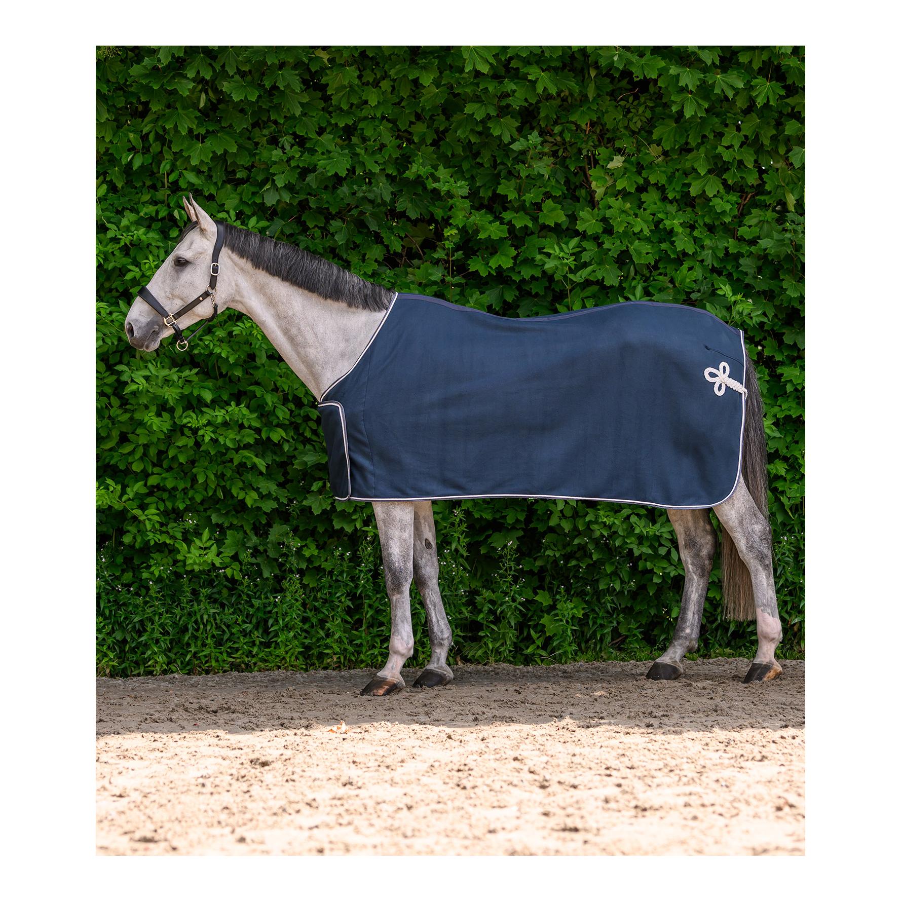Waldhausen ECONOMIC Fleece Nachtblau