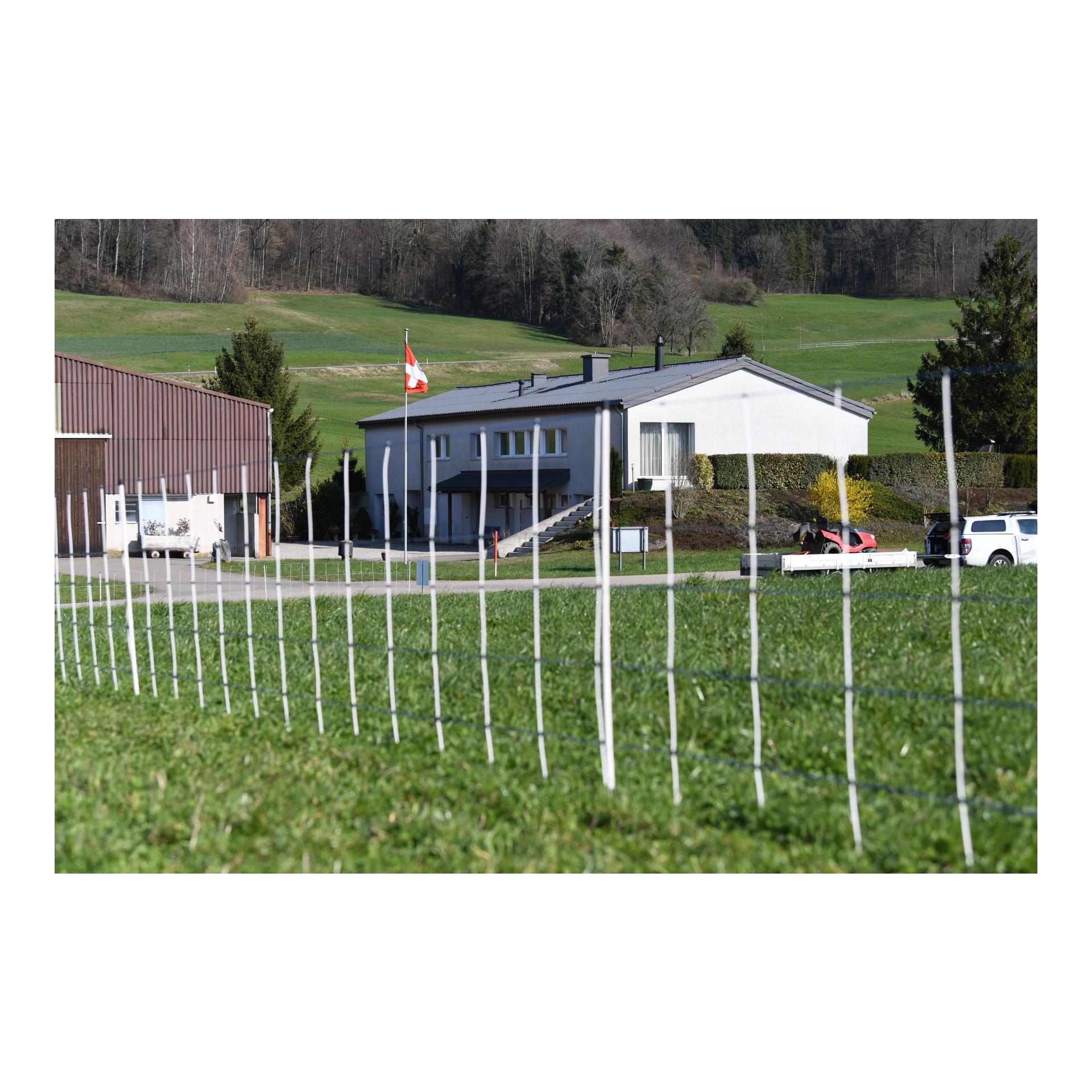 Hauptner Weidenetz Primaflex Alpin - Einzelspitz