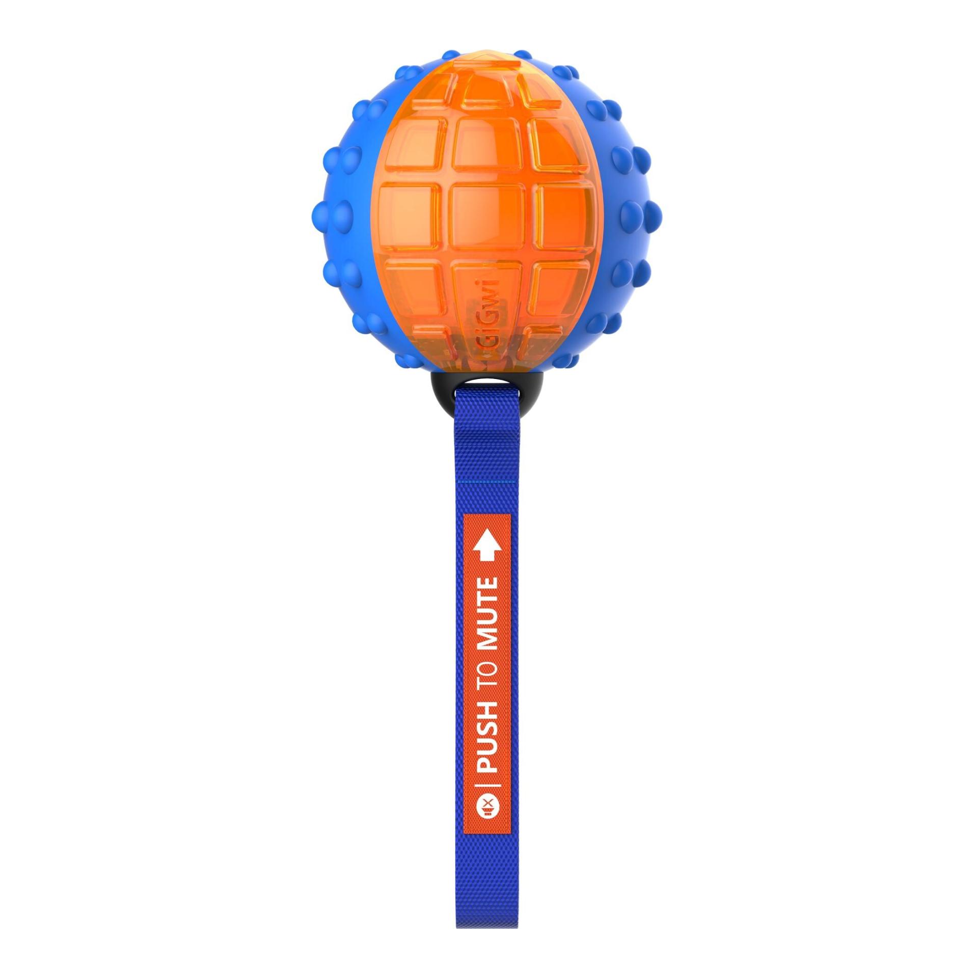 Gigwi Anneau d'entraînement 60cm