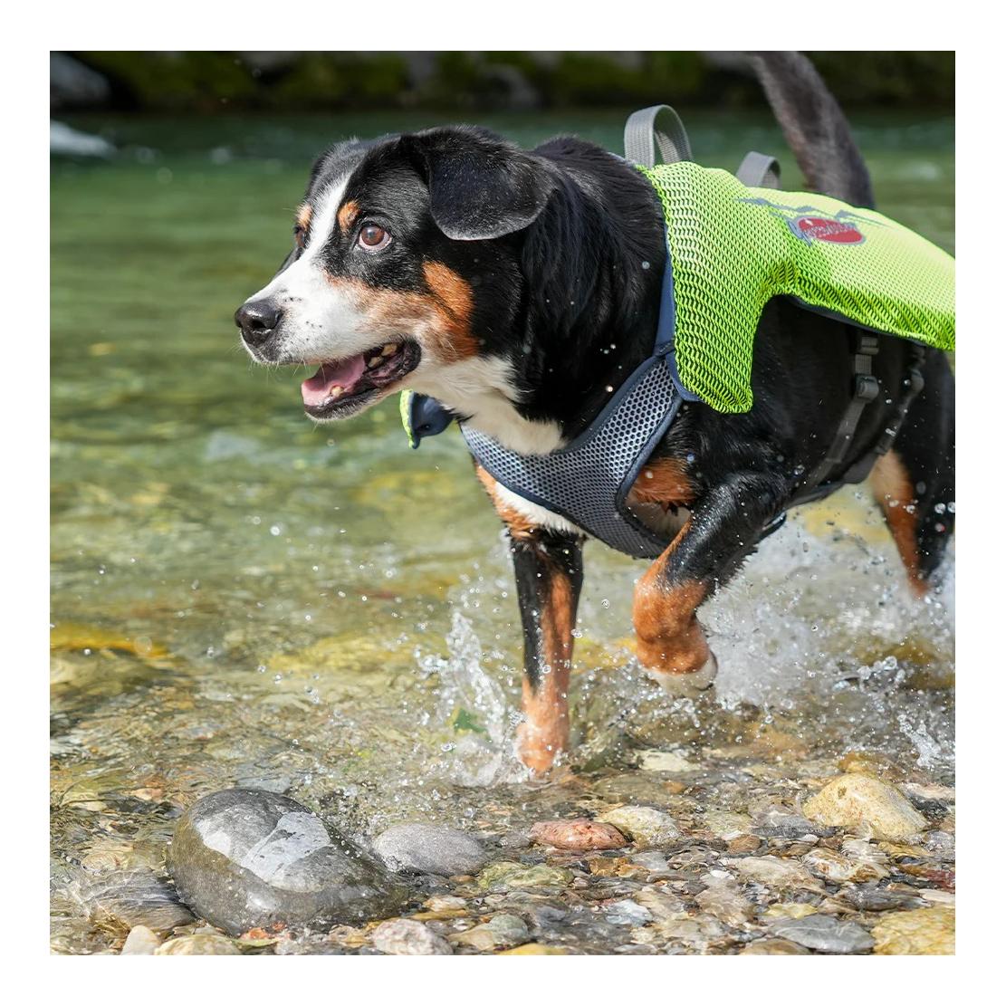 Beat Grossenbacher Schwimmweste für Hunde