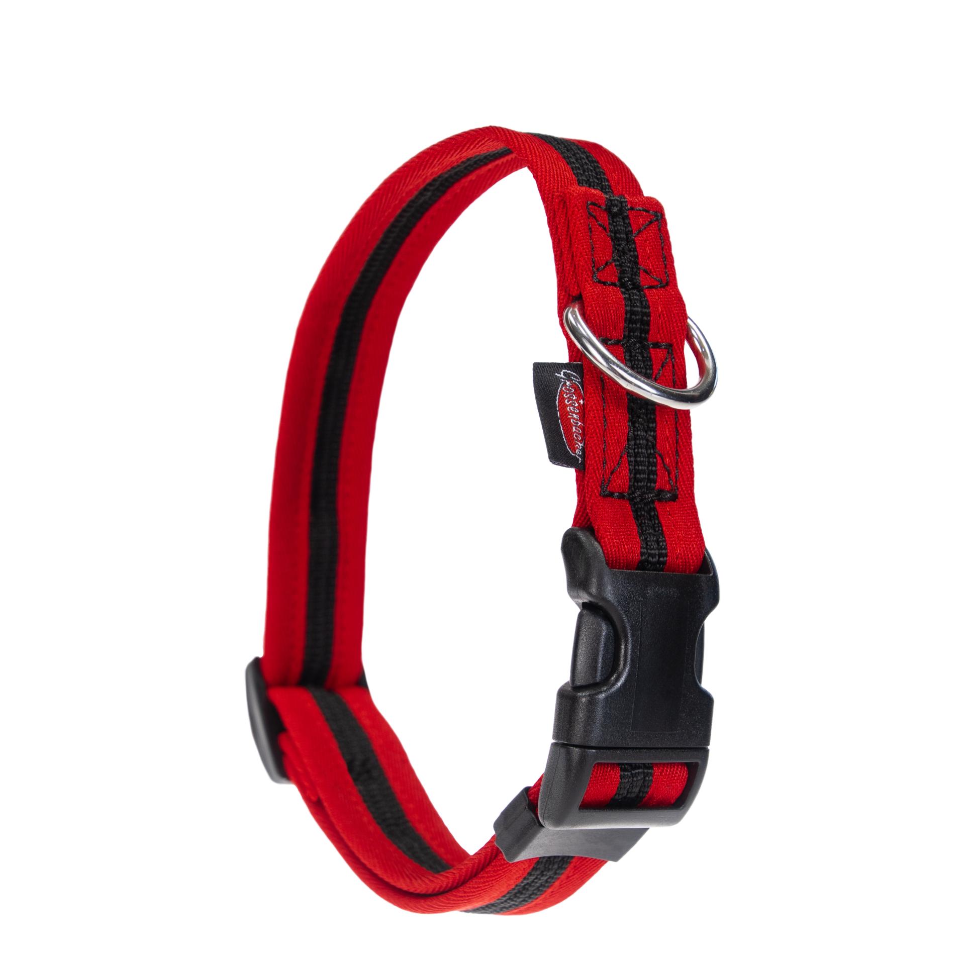 Beat Grossenbacher Halsband eingefasst, direkt
