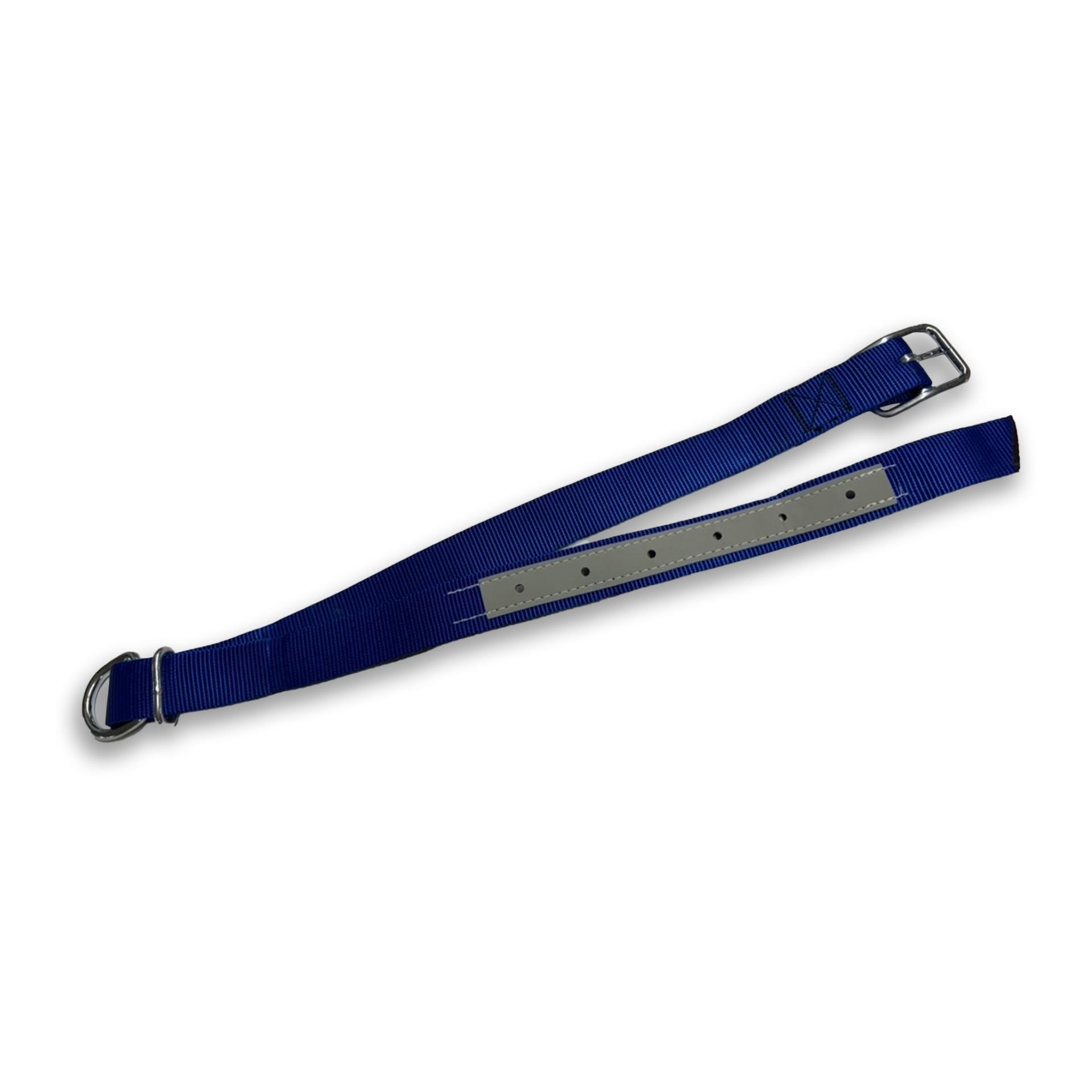 Hauptner Collier avec boucle à ardillon 40 mm