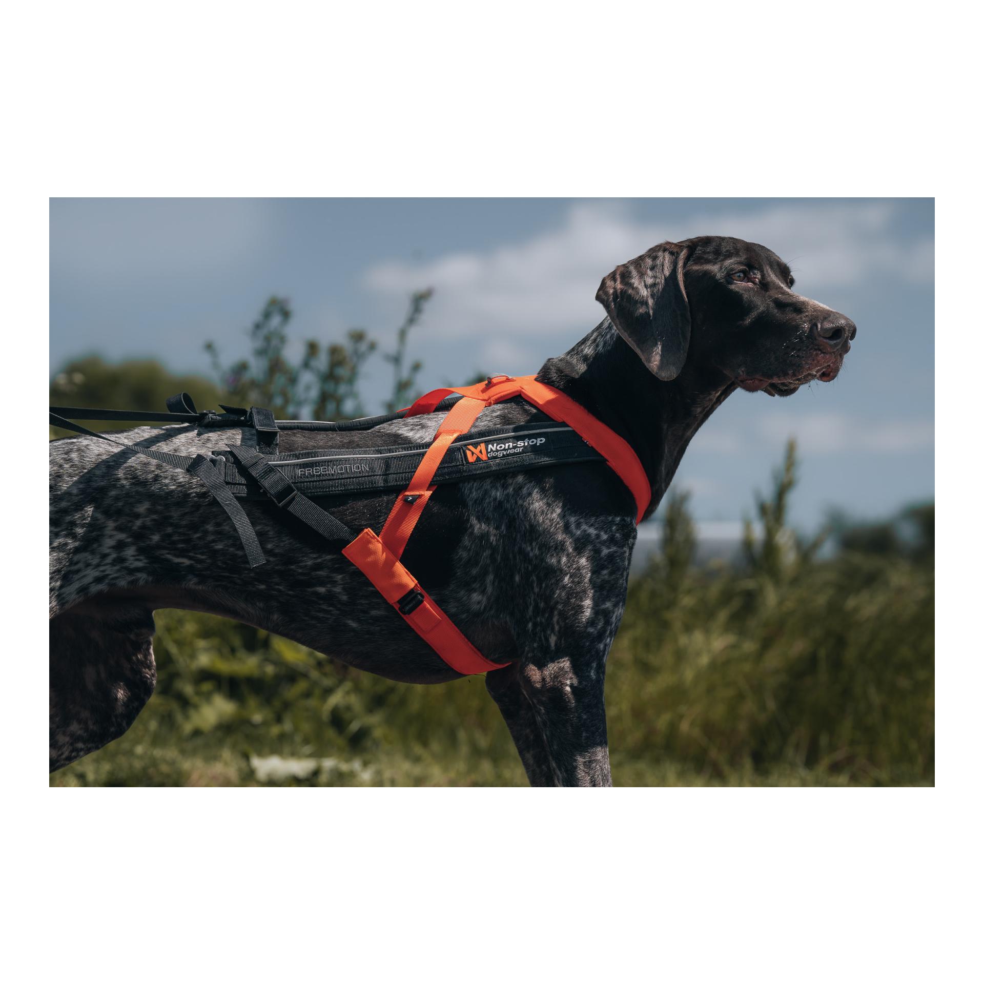 Non-stop Dogwear Harnais Freemotion Harness 5.0