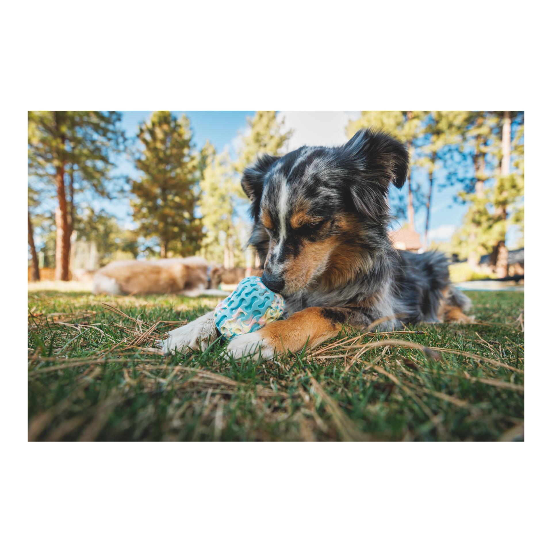 Ruffwear Jouet pour chien Morel