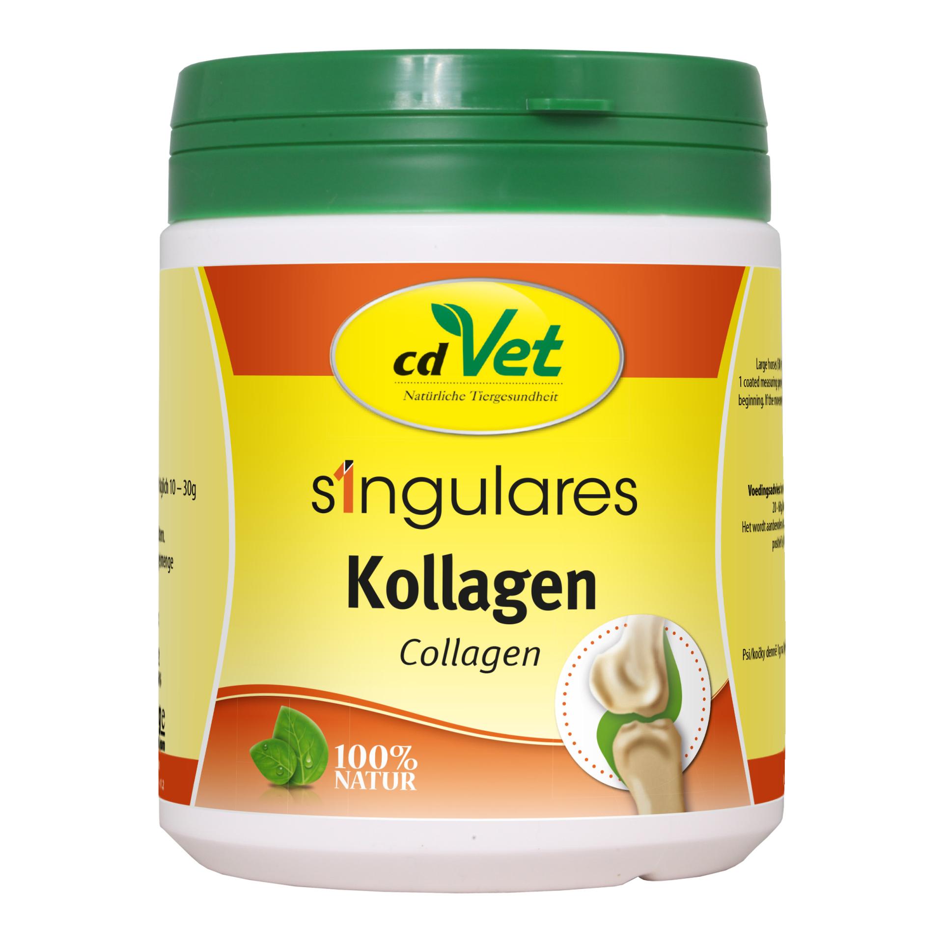 cdVet Singulares Kollagen