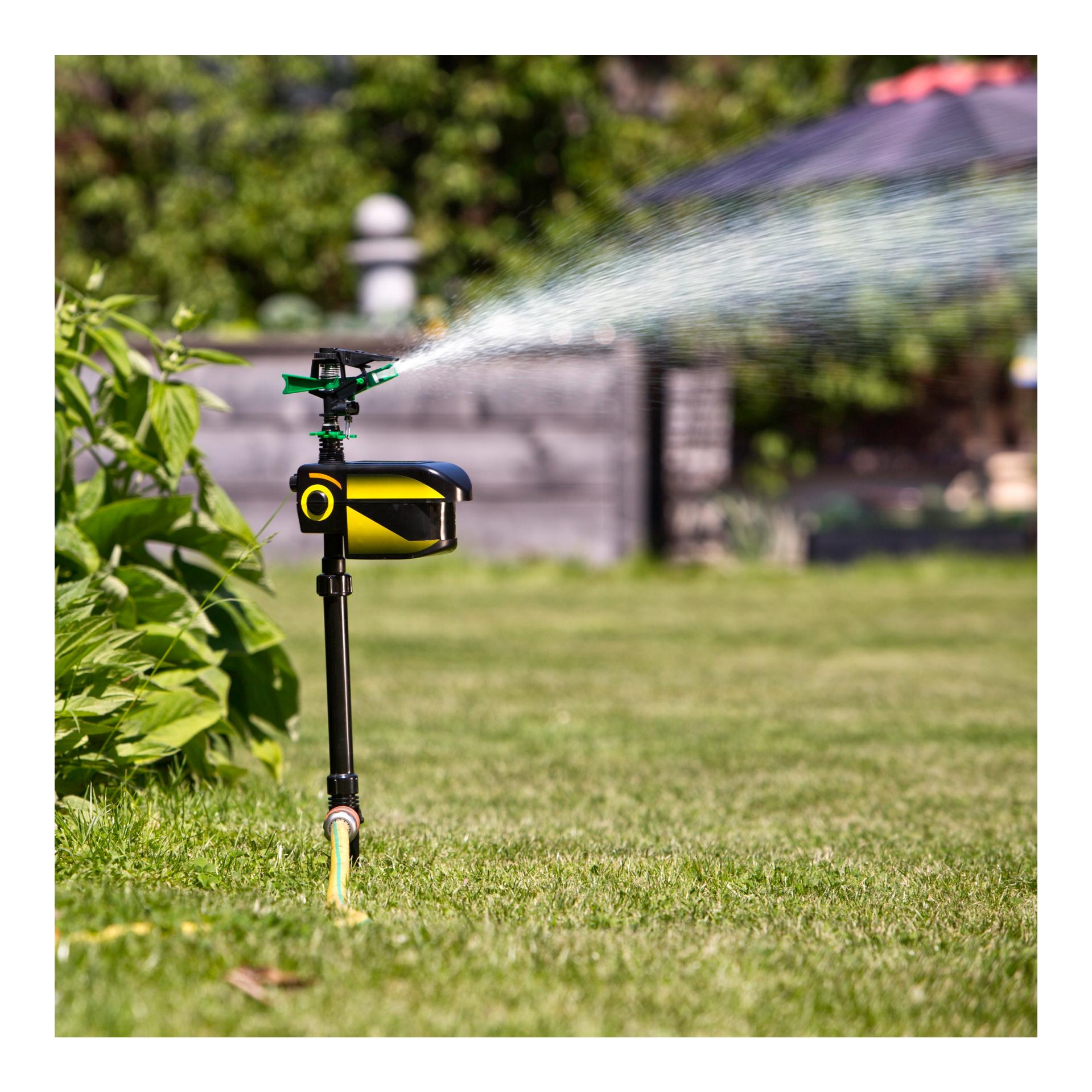 Windhager Tiervertreiber Water Guard Solar Schwarz
