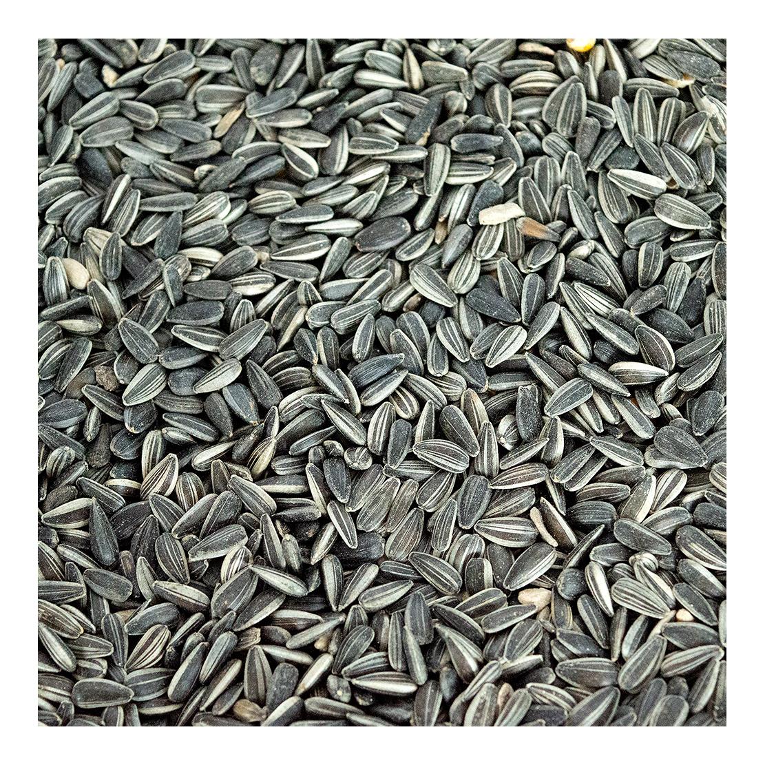 My Little Farm Graines de tournesol bio, 10 kg