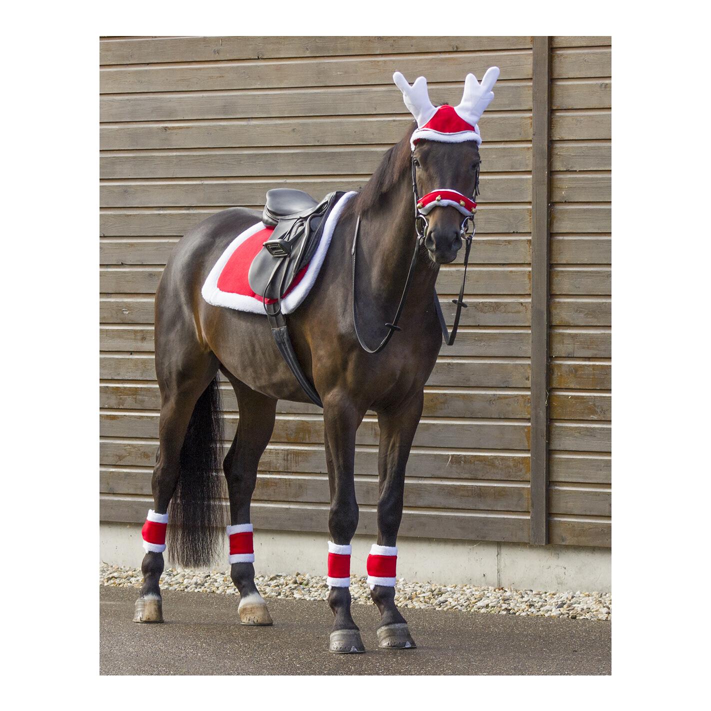 QHP Christmas Satteldecke