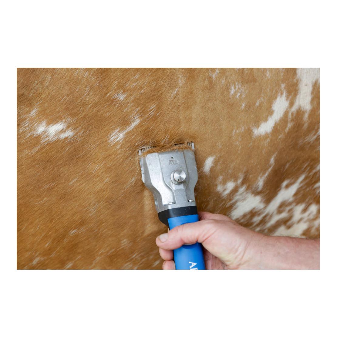 Aesculap Tondeuse sans fil Bonum Rind avec 1 batterie - bleu