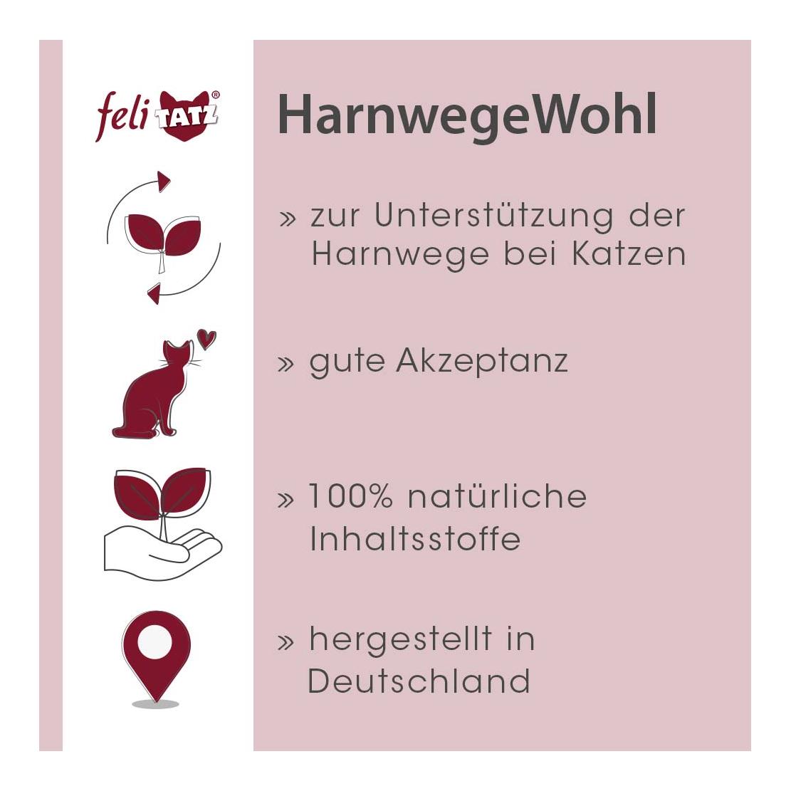 cdVet feliTATZ HarnwegeWohl