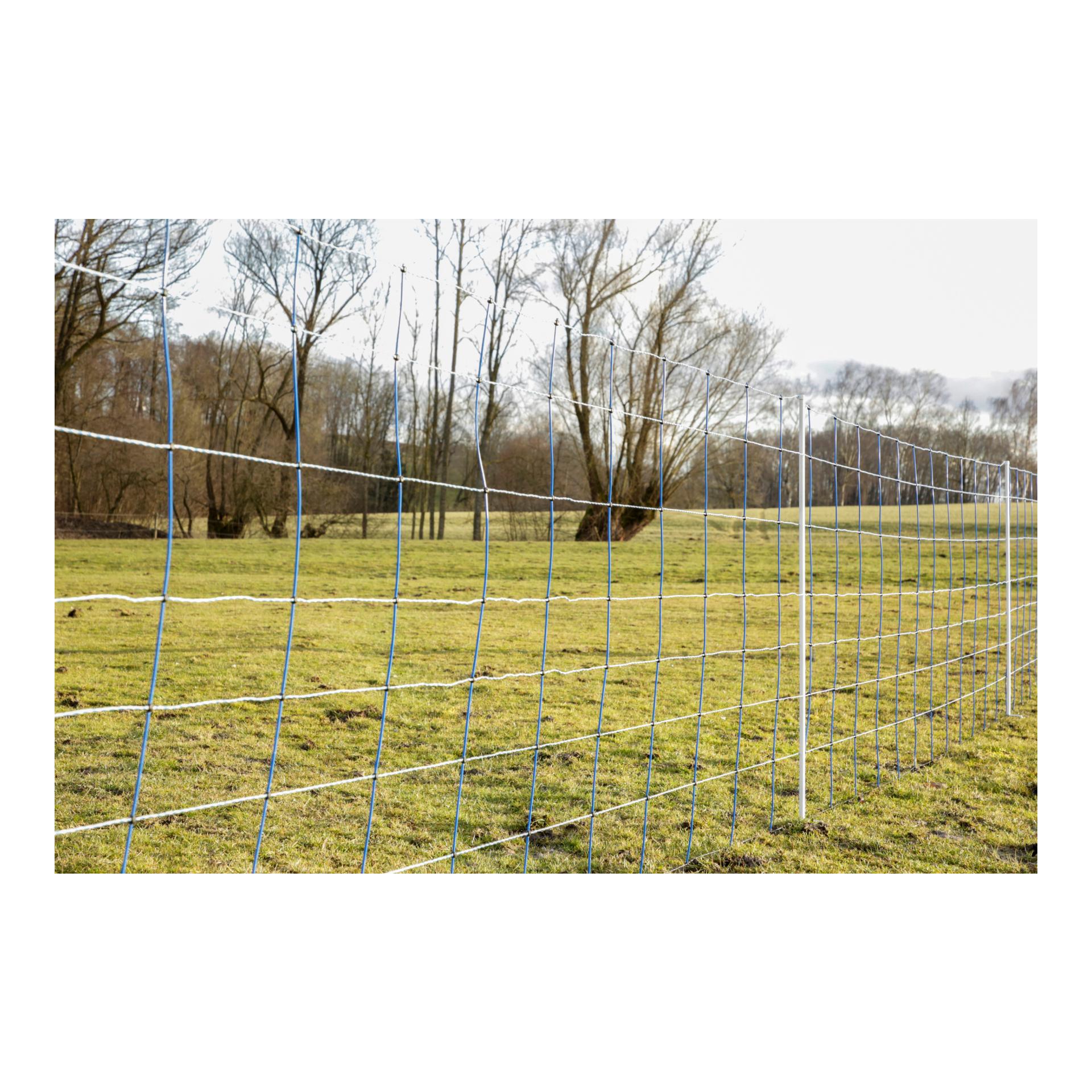 AKO Weidenetz Titan Net - Doppelspitz