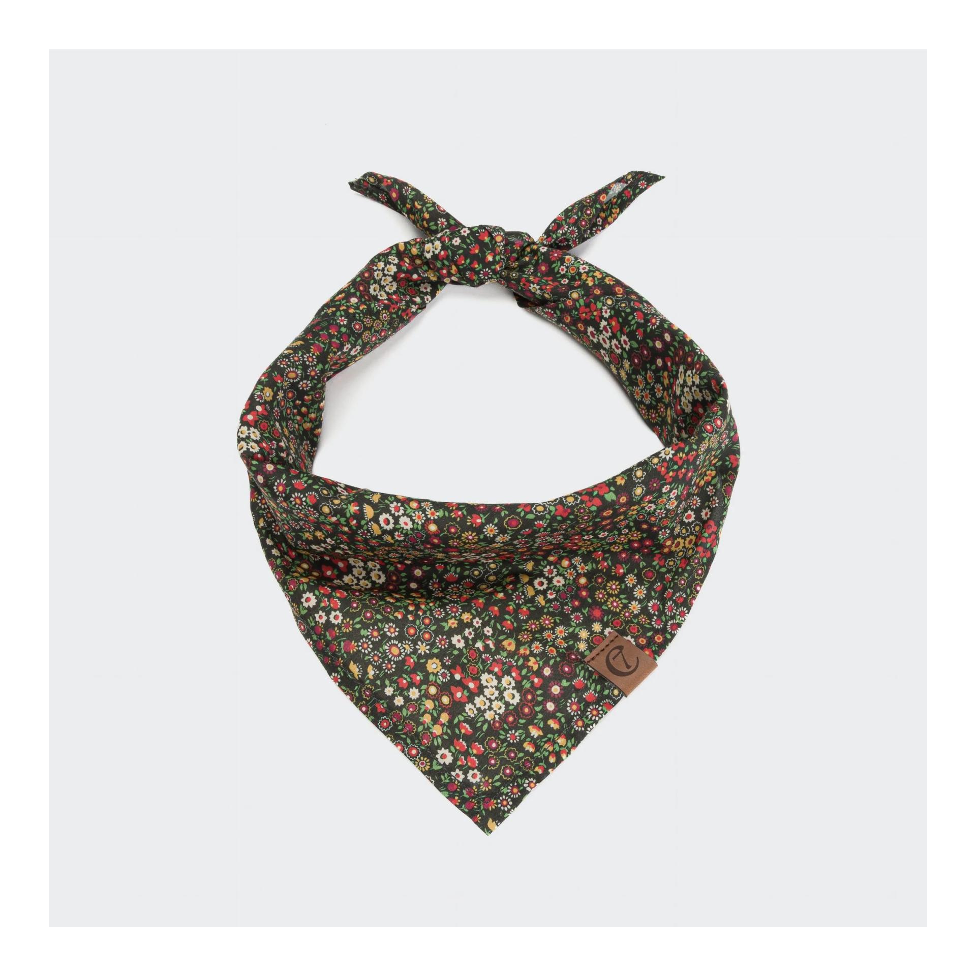Cloud 7 Hundehalstuch Bandana