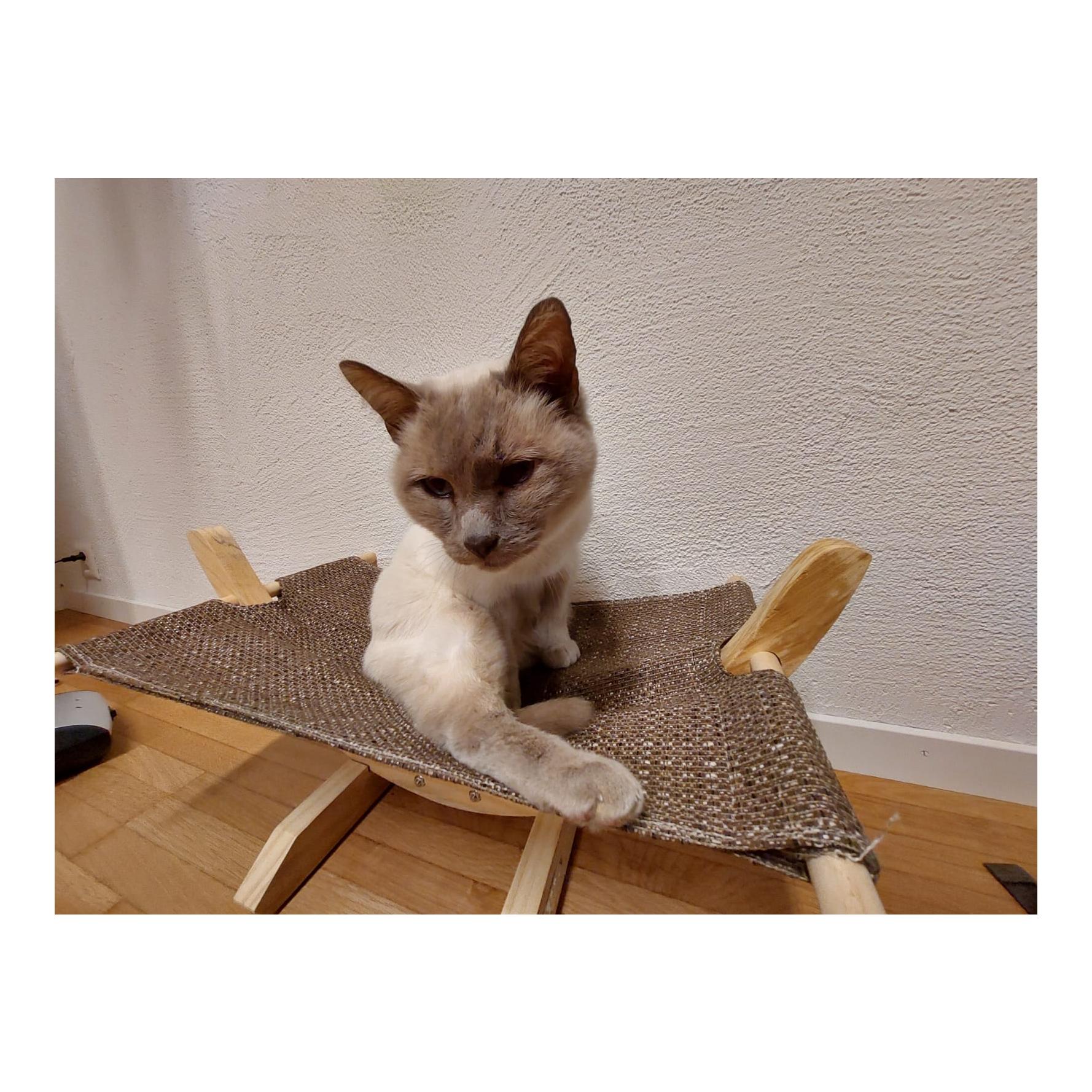 Kerbl Pet Hamac Siesta Blanc