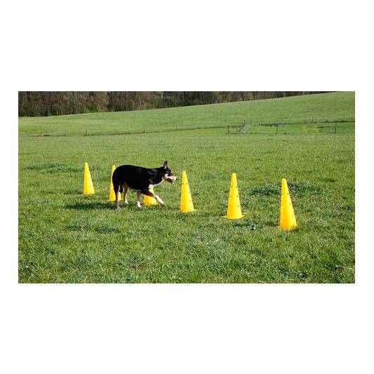 Kerbl Pet Ensemble de cônes et d'obstacles Agility