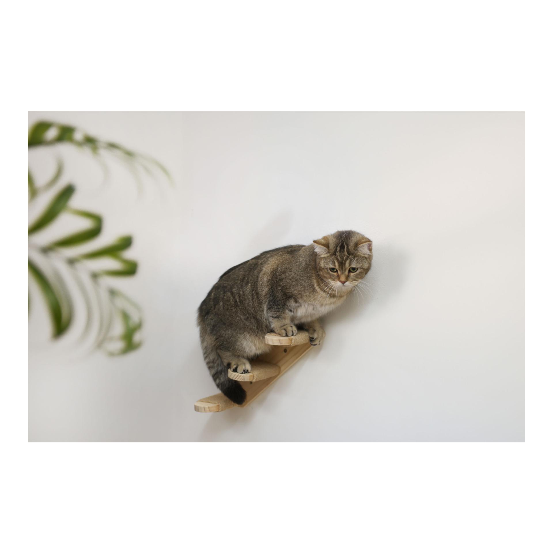Kerbl Pet Katzenleiter Timber