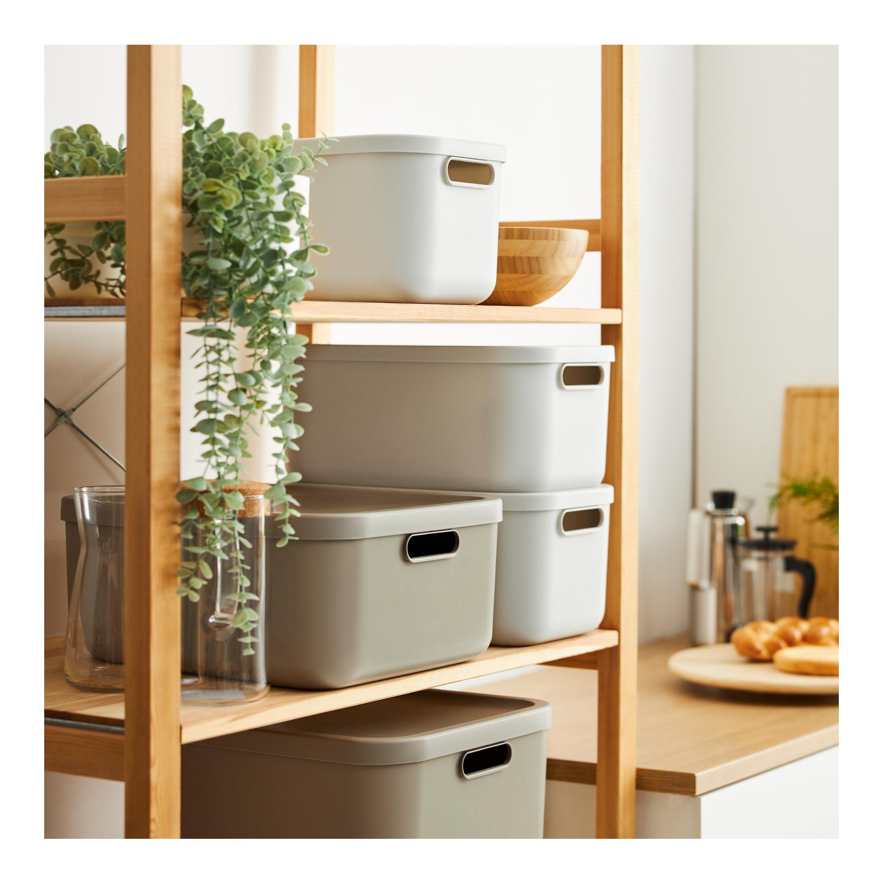 Rotho ALBULA LIGHT 12 Liter
