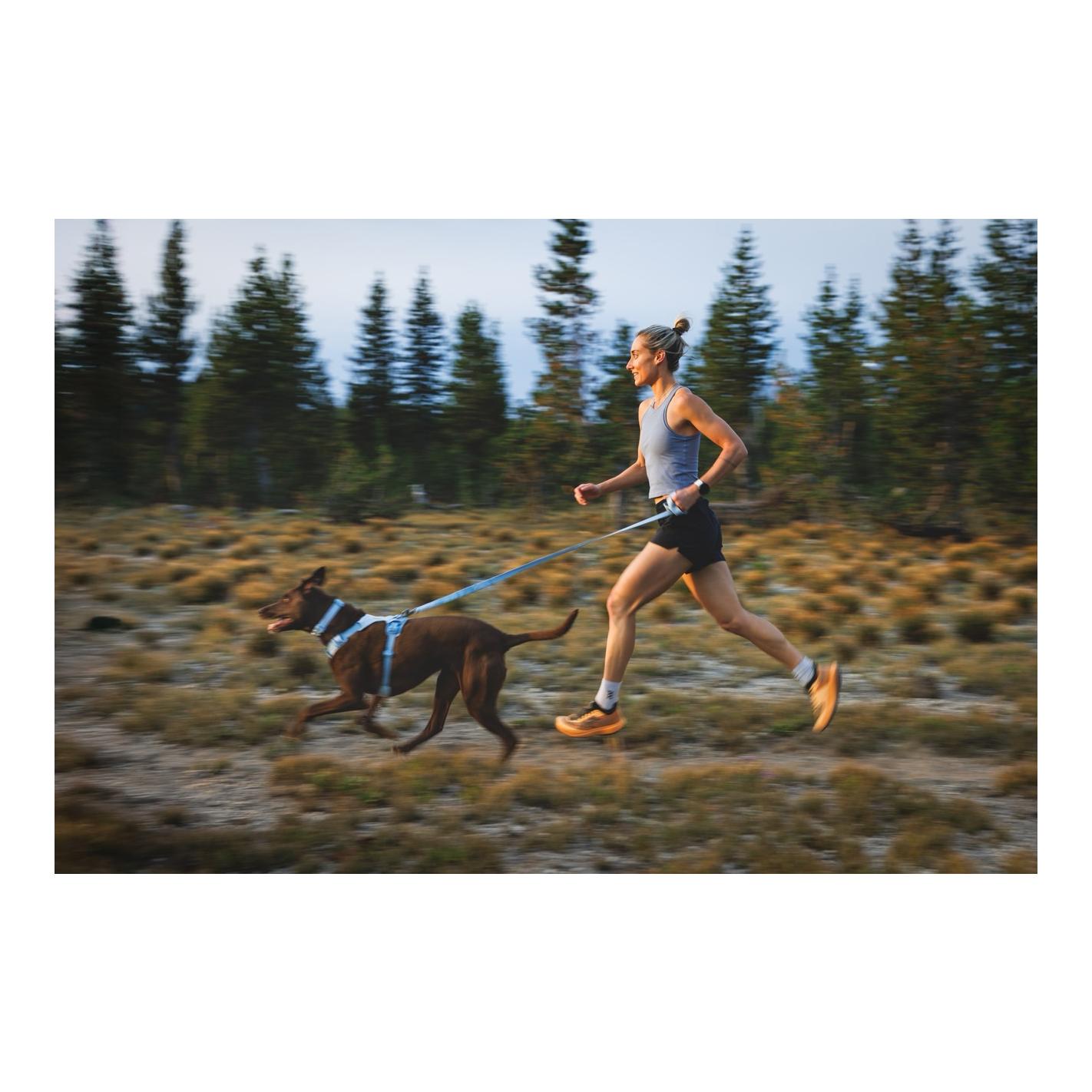 Ruffwear Collier pour chien Front Range™ Flex