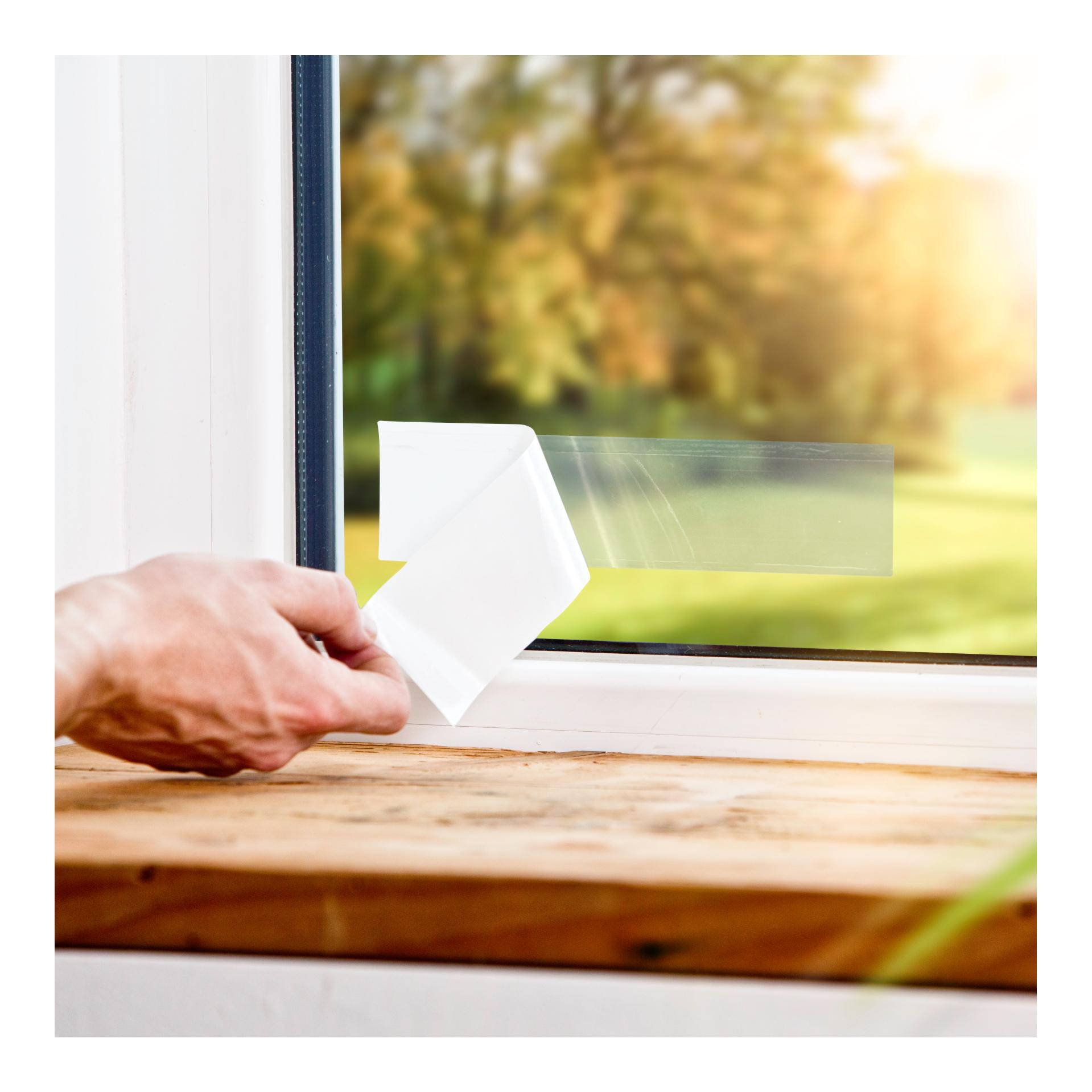 Windhager Fenster-Fliegenfalle Grün