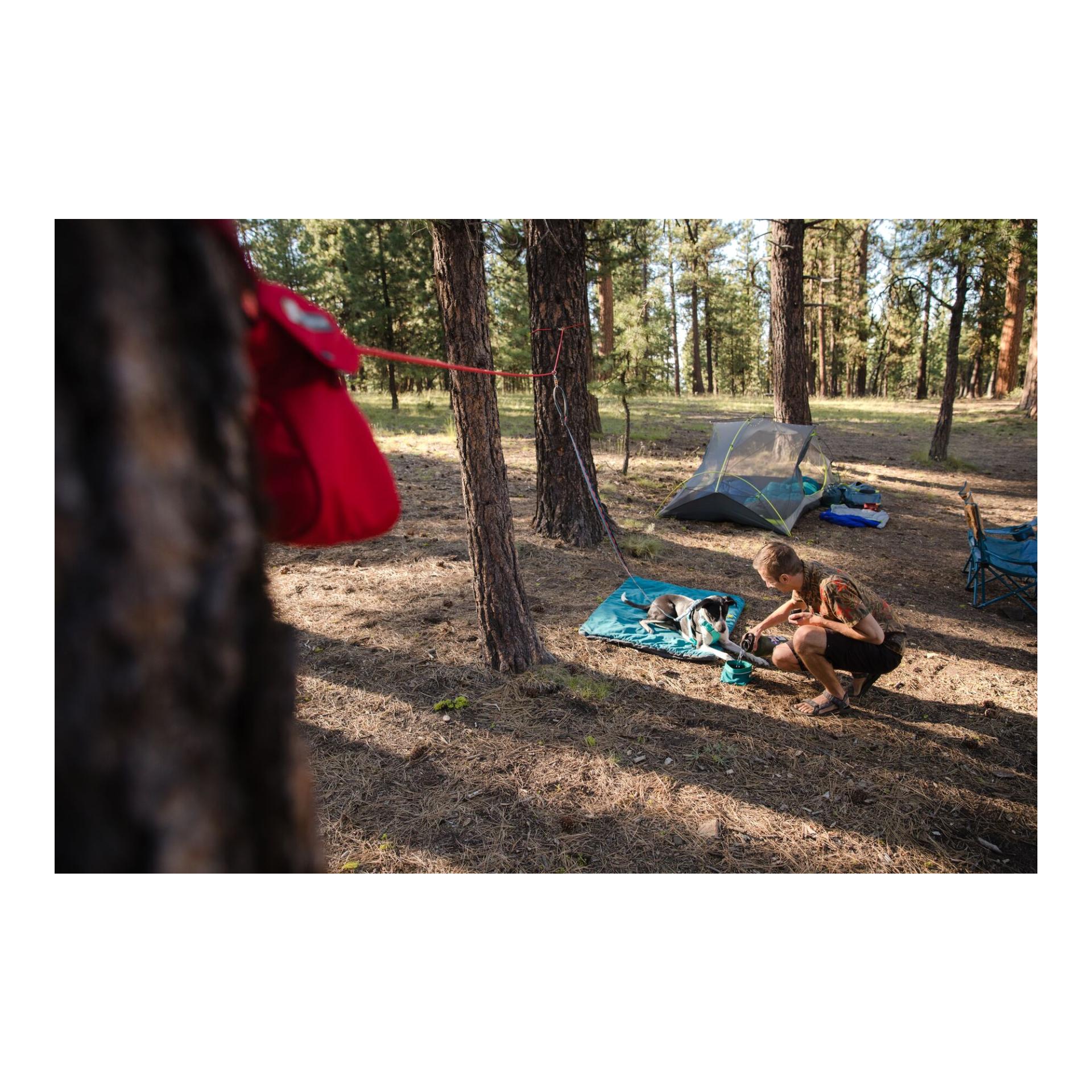 Ruffwear Knot-a-Hitch™ - Système d'attache pour chien
