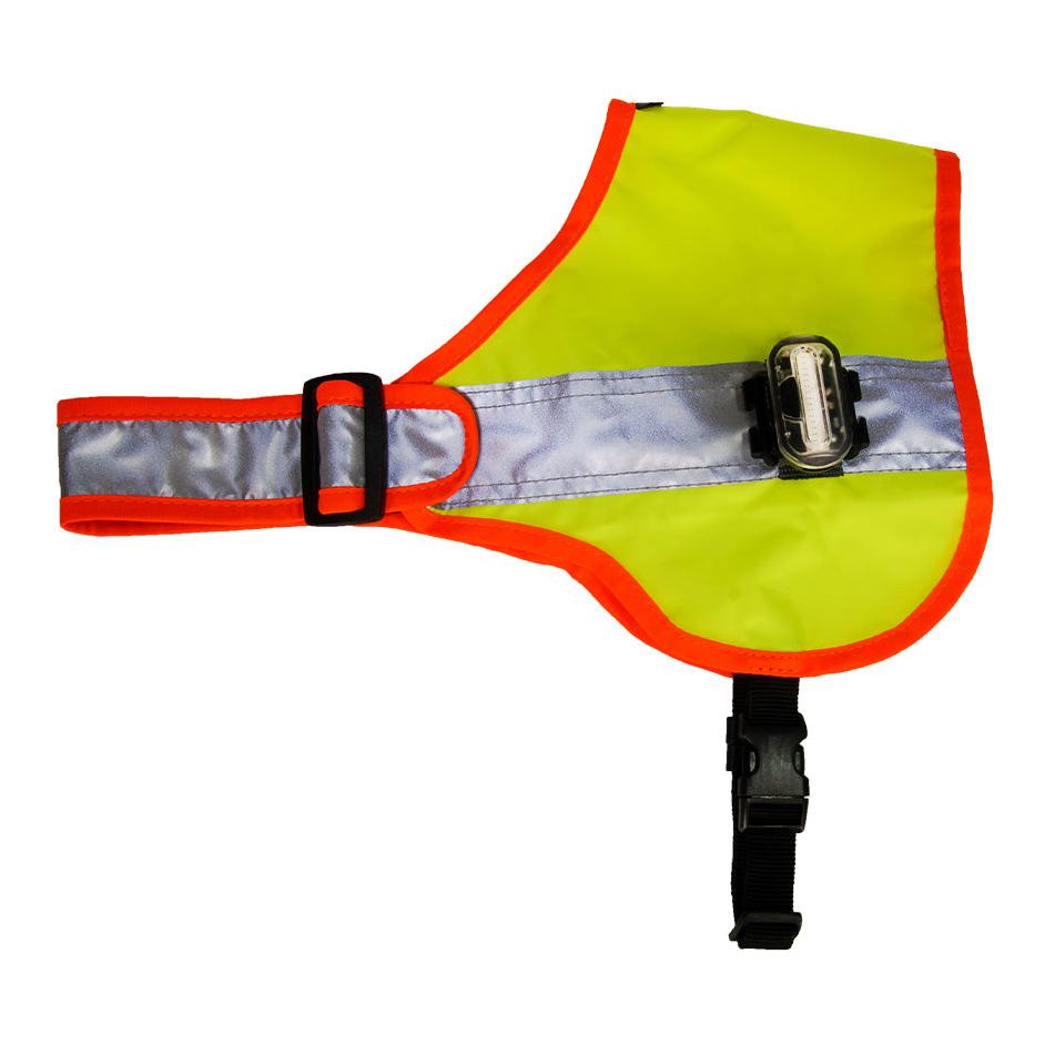Beat Grossenbacher Hundeleuchtdecke Balou LED