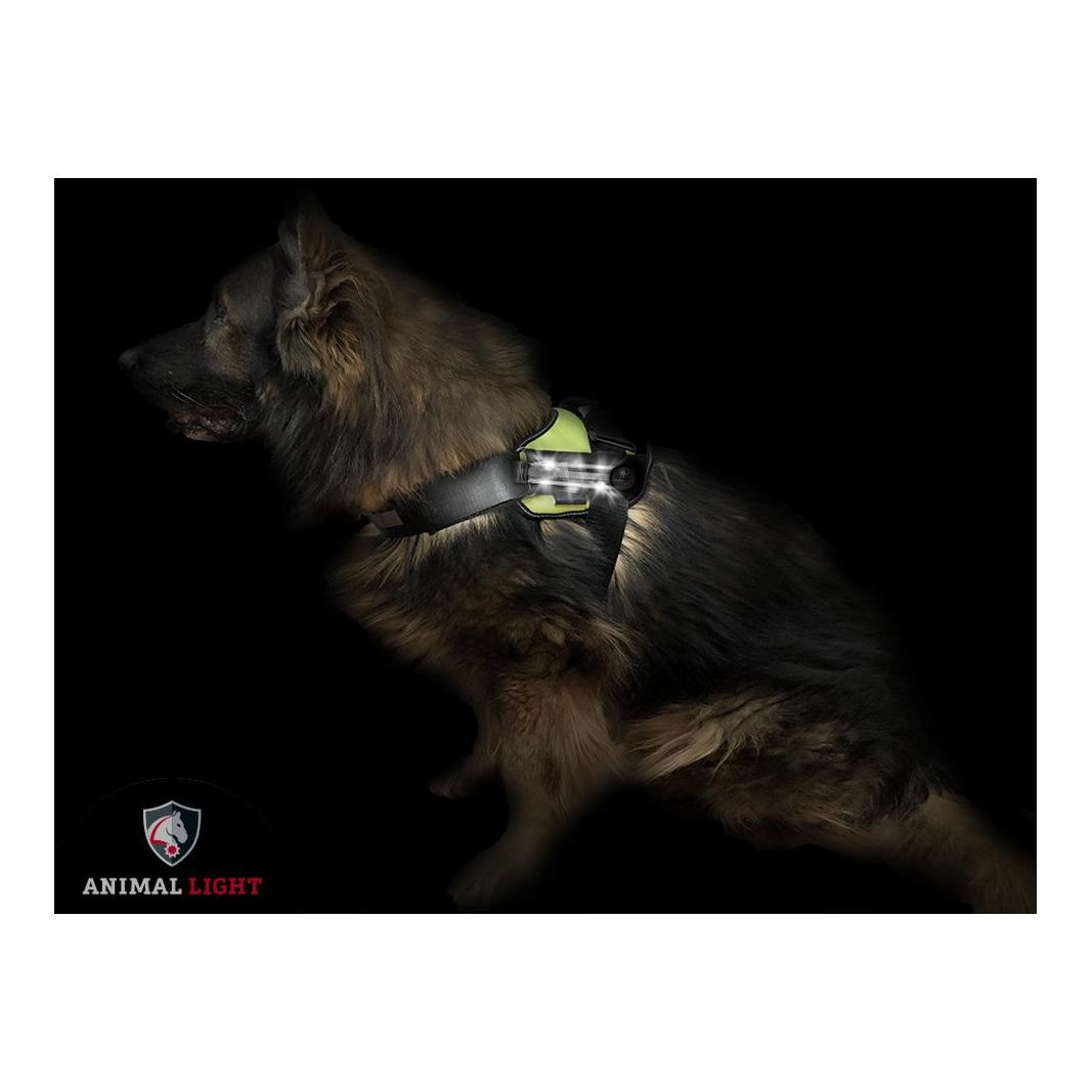 Animal Light Leucht - Hundegeschirr "Flex" - weiss