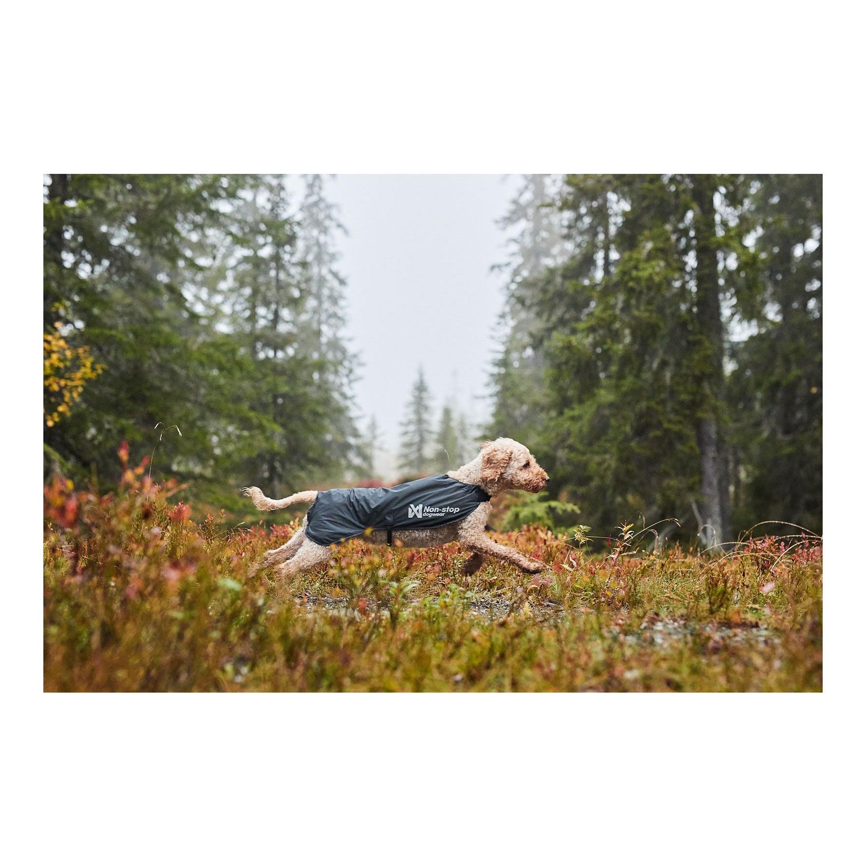Non-stop Dogwear Hunderegenmantel Trail Light Dog Jacket